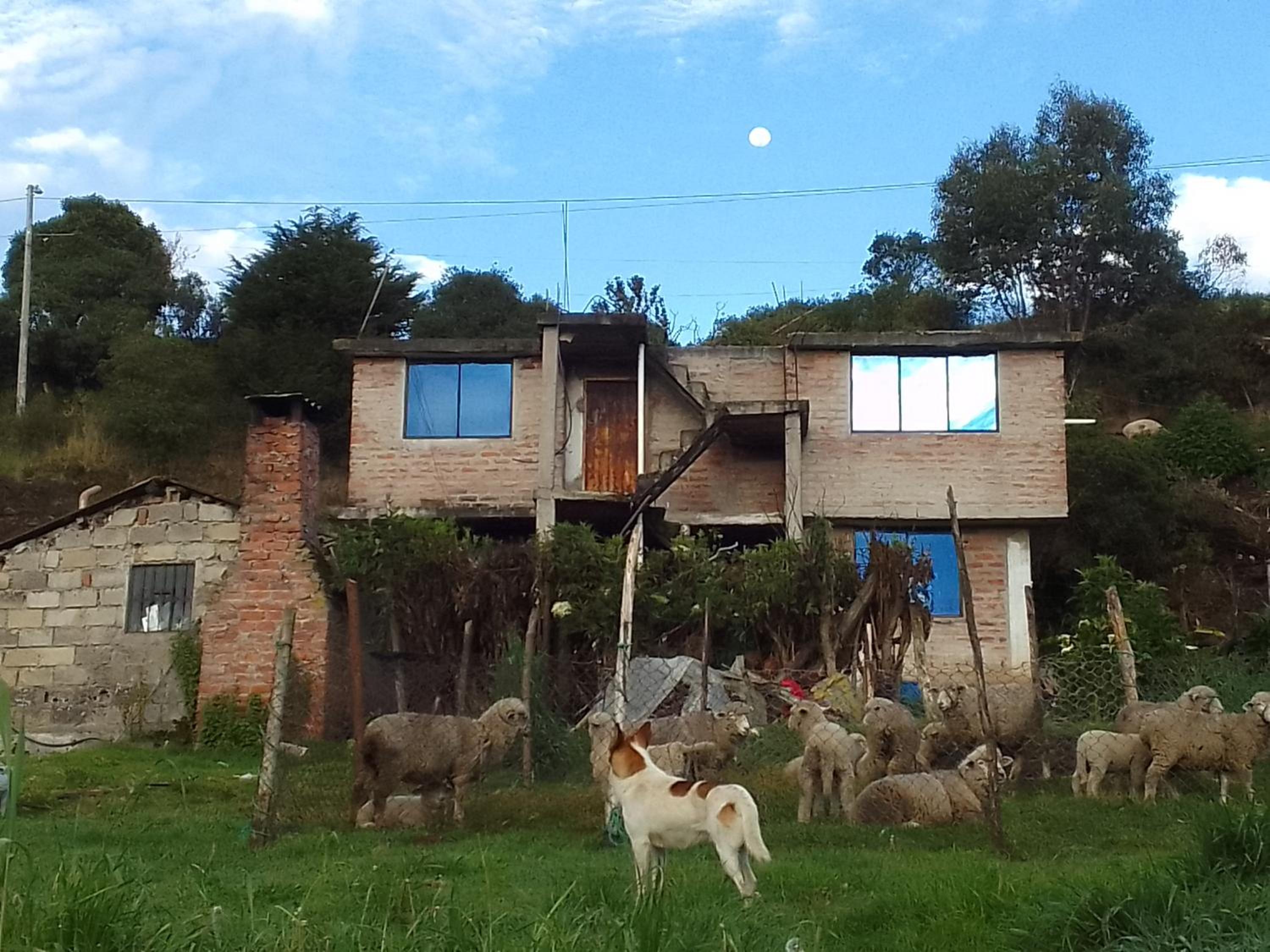 Casa familia Sisa