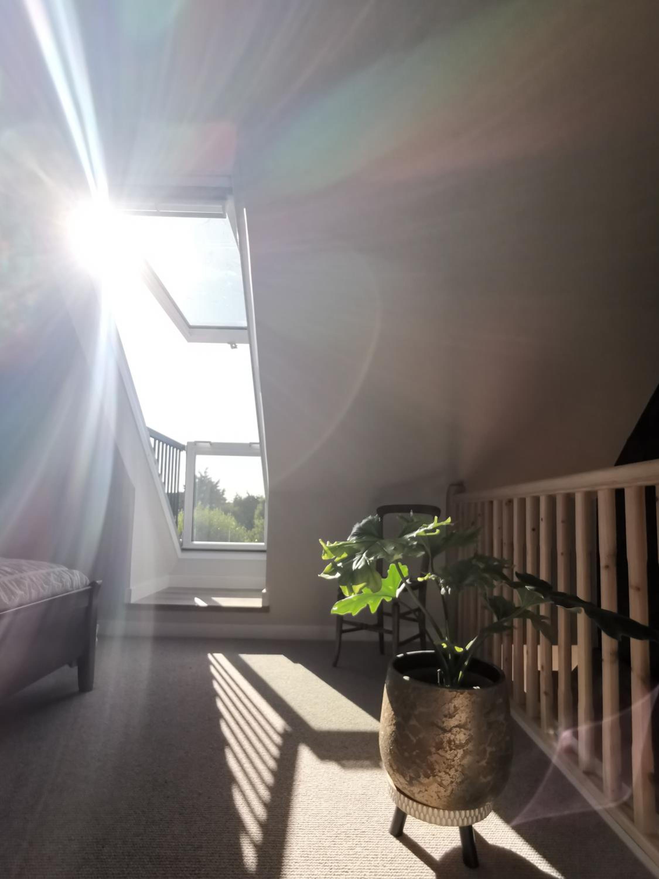 Hastings Casita, 'little house' self contained garden lodge, close to town and seafront