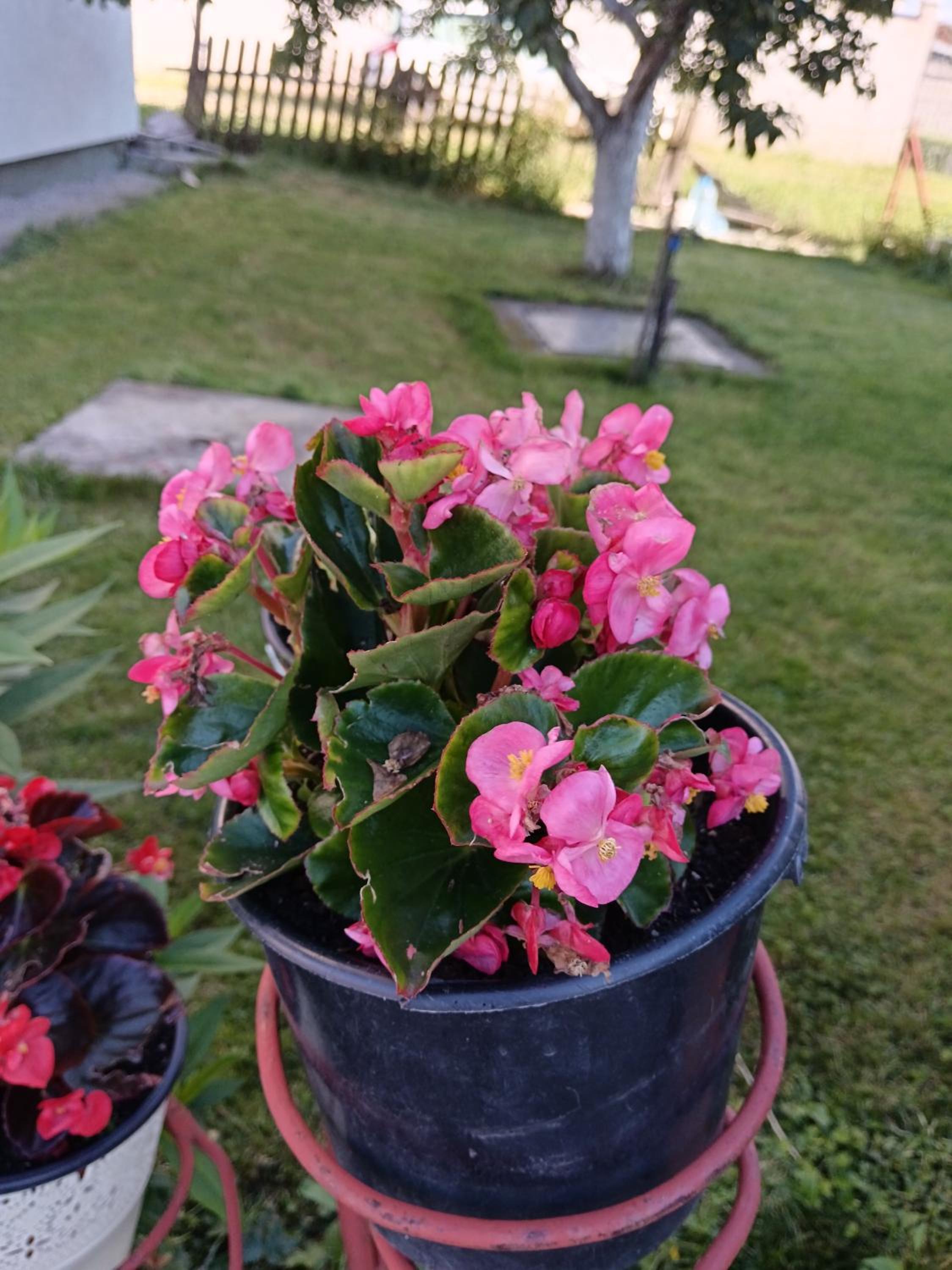 Photo 23