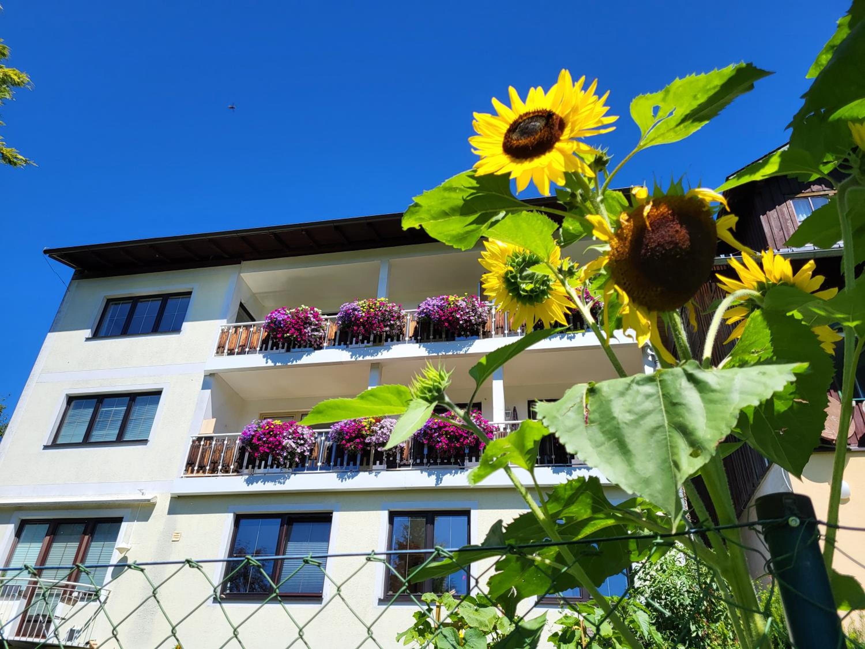 Gästehaus Herma