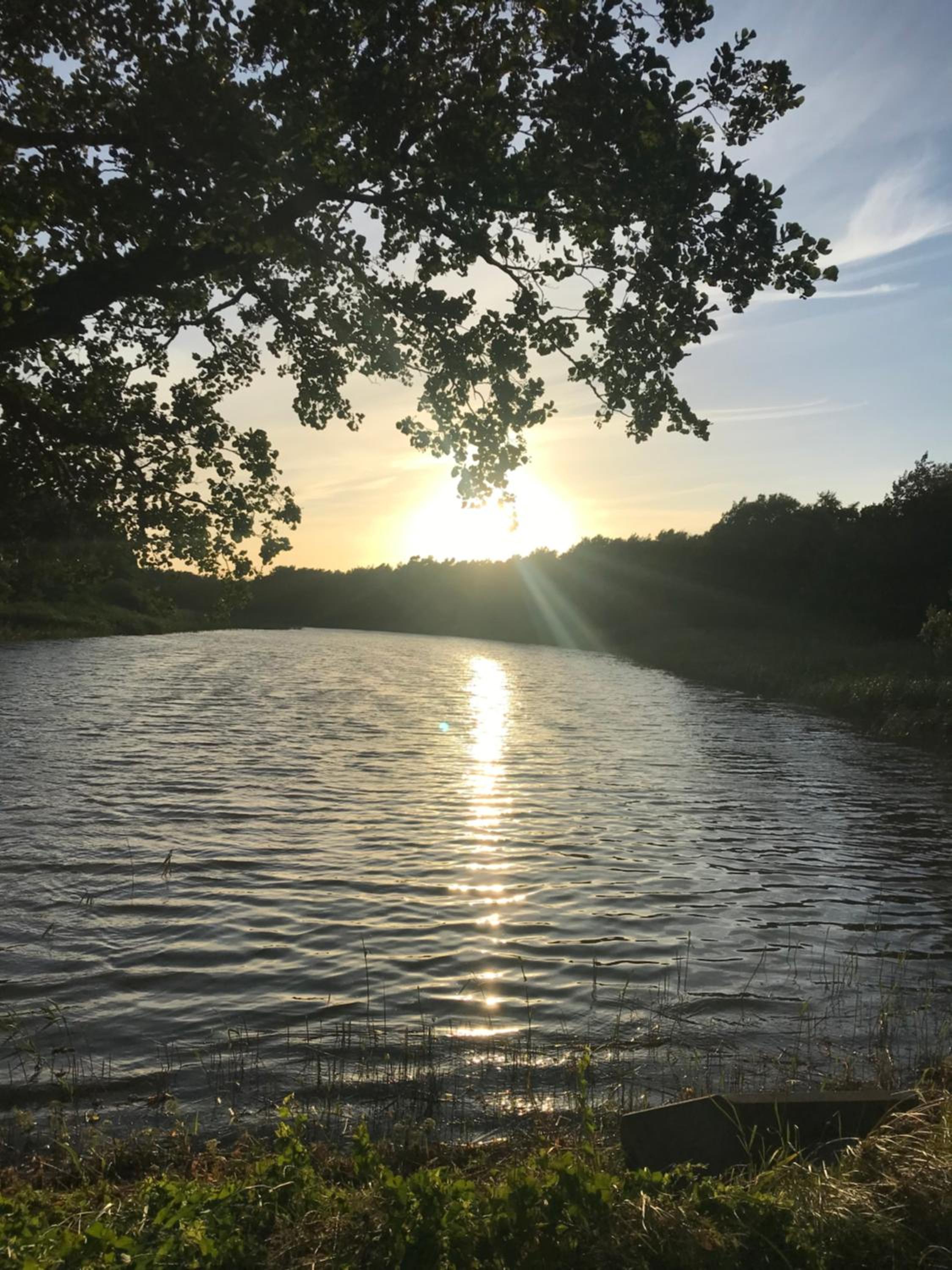 Sonnenwind