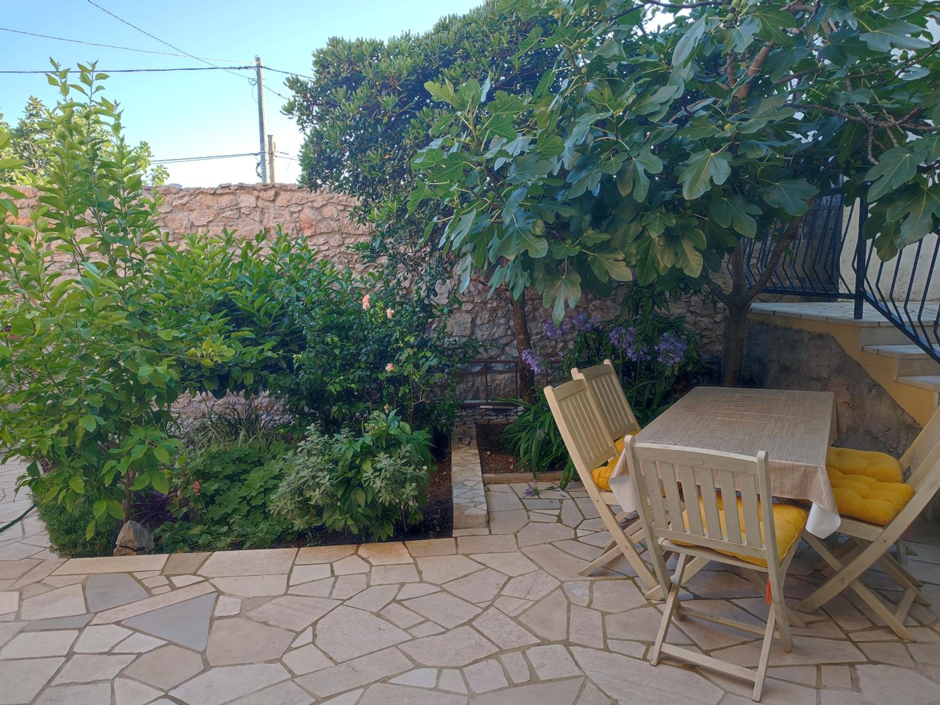 Apartman Noemi