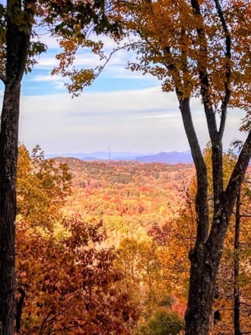 Leaf Peeper Point view 3