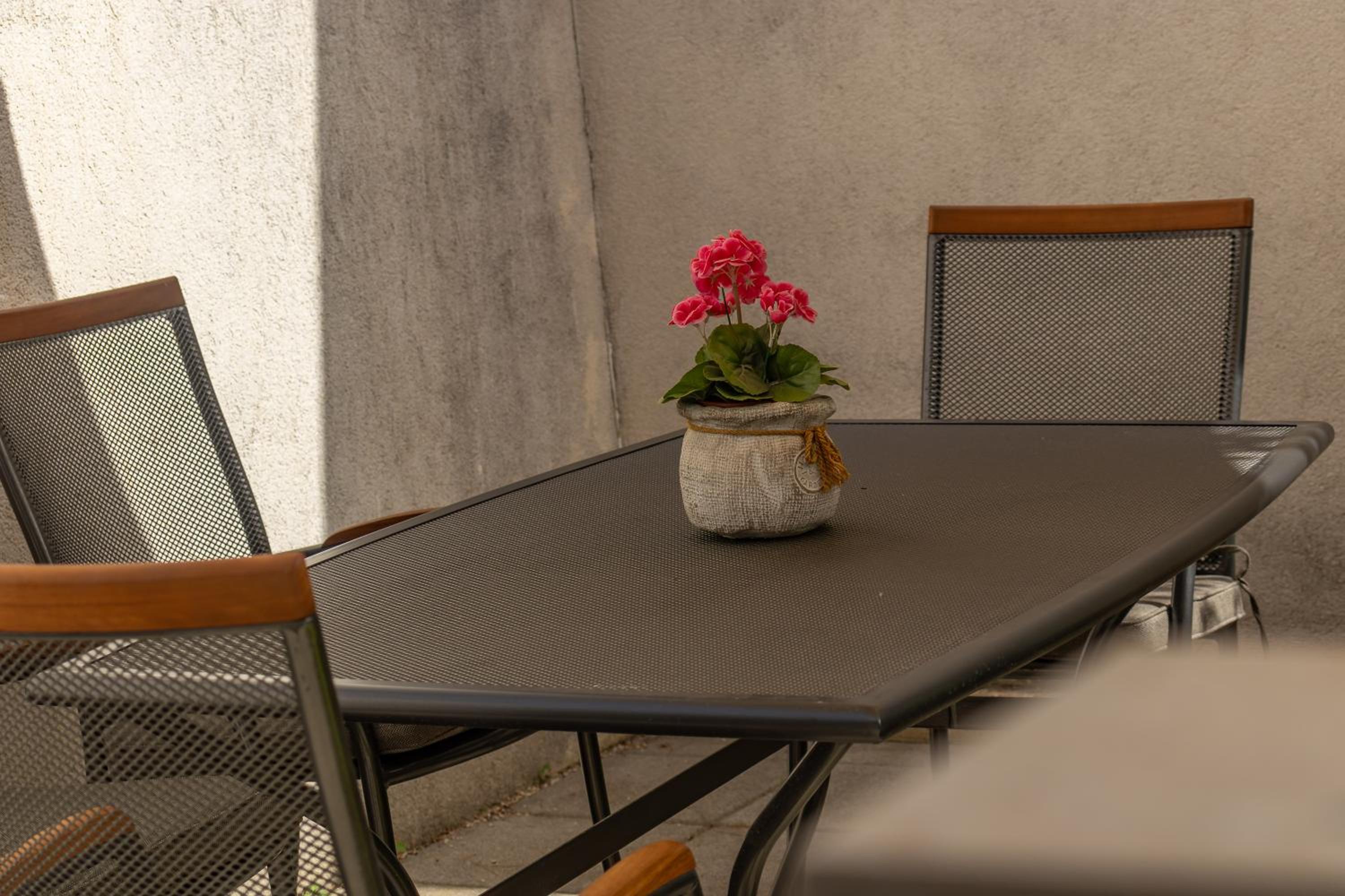 Apartment Petar