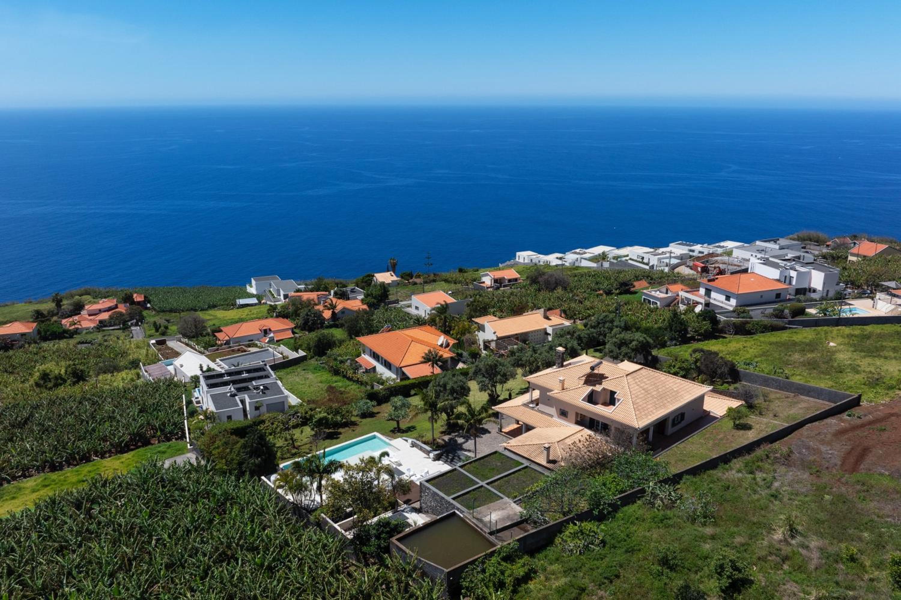 OurMadeira - Bellissima