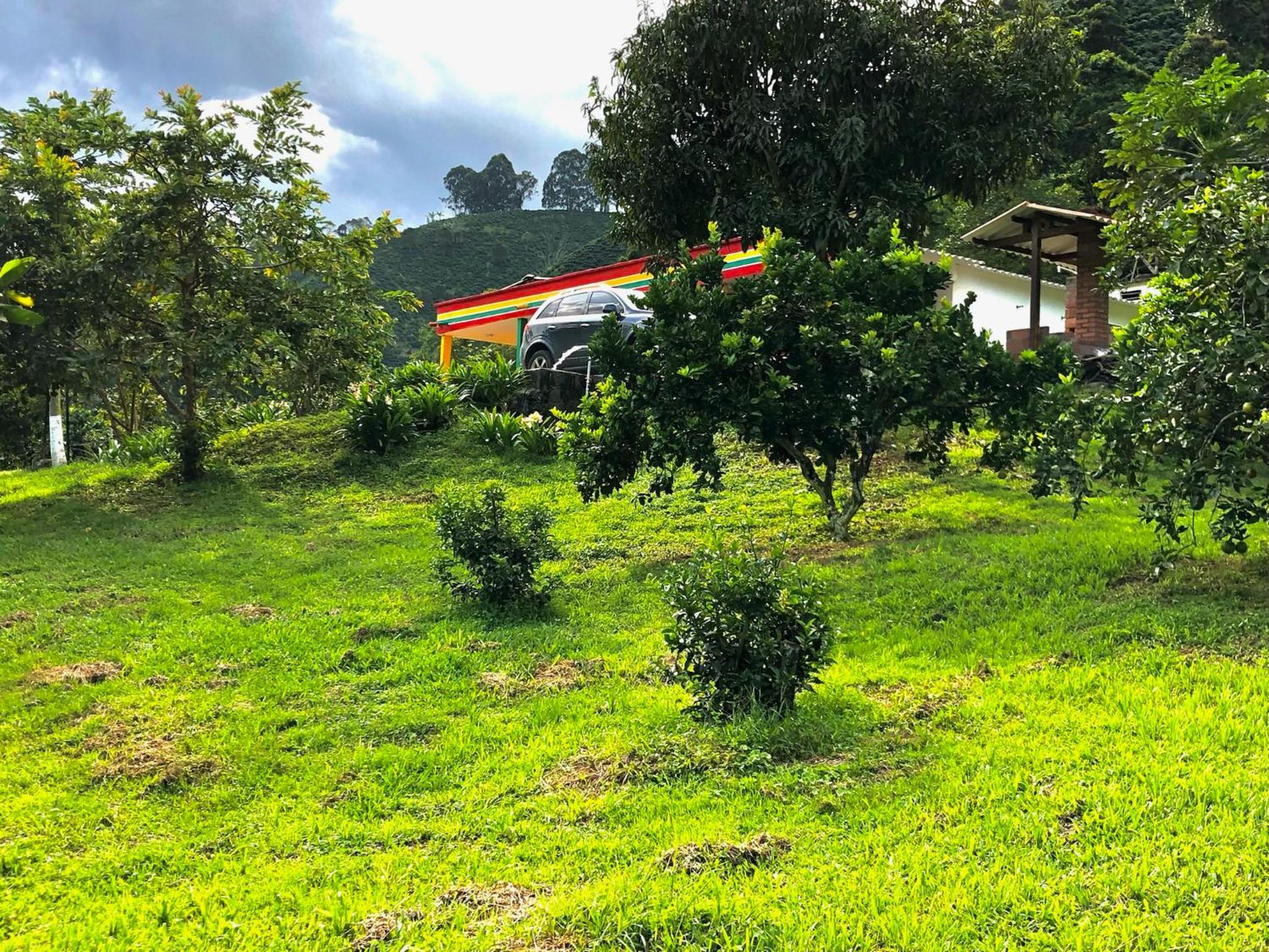 Finca el troya