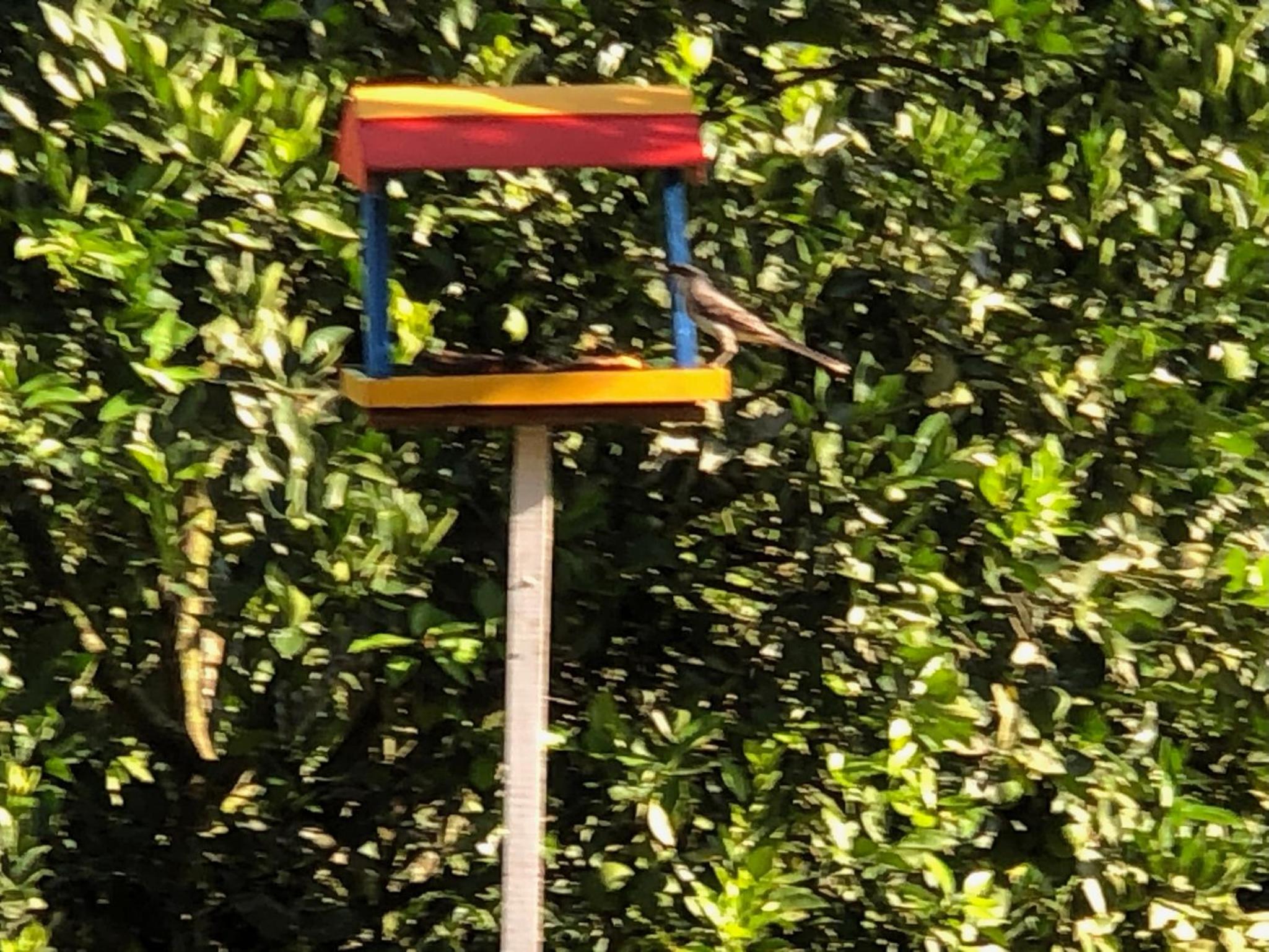 Finca el troya