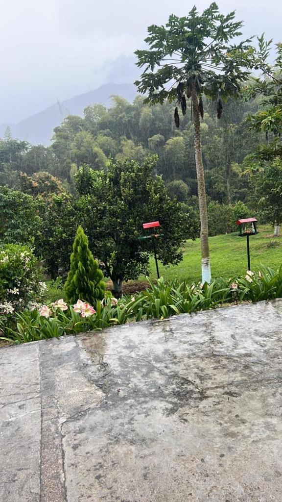 Finca el troya