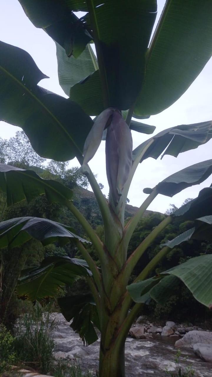 Finca el troya