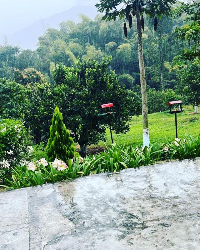 Finca el troya
