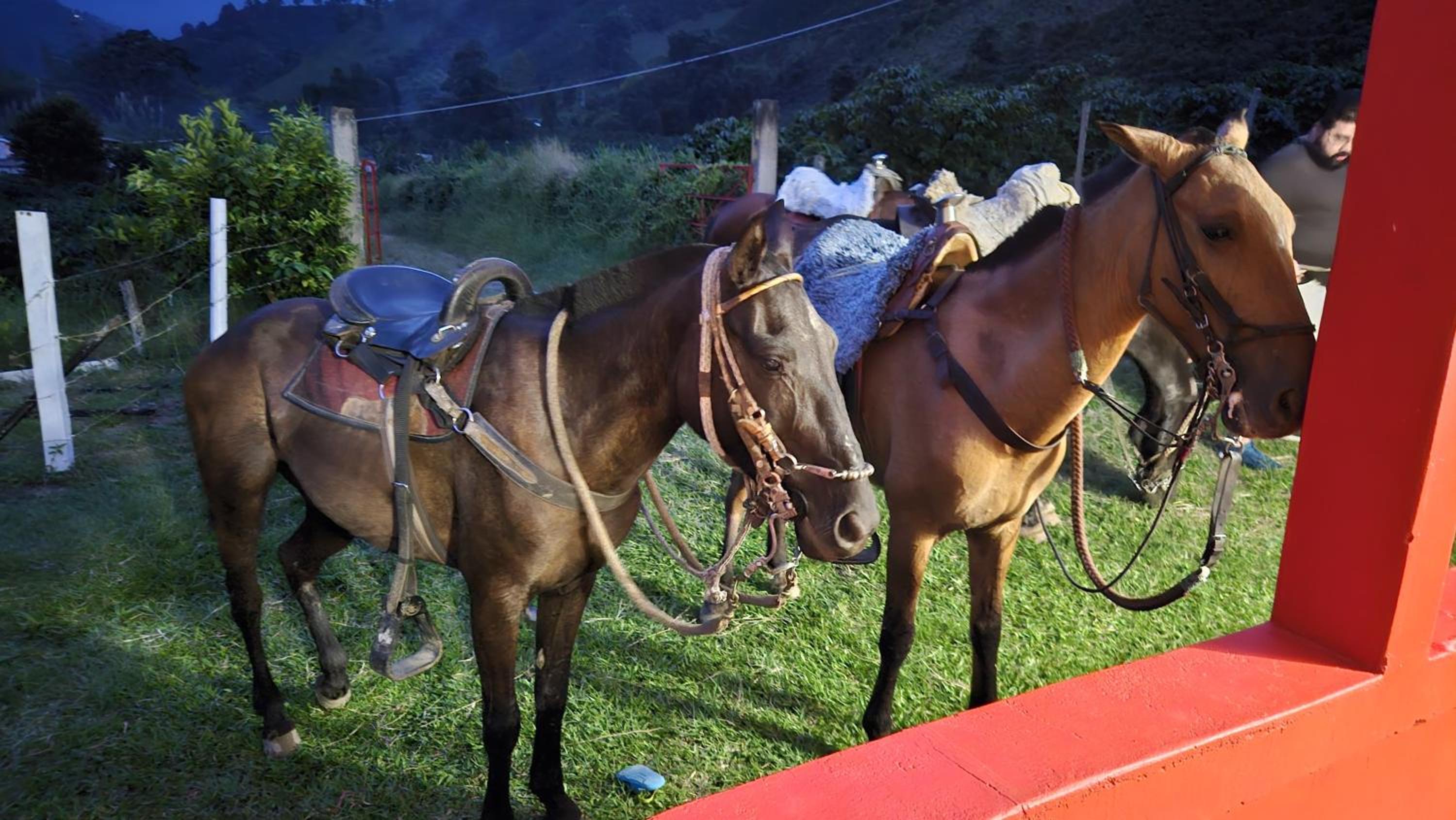 Finca el troya