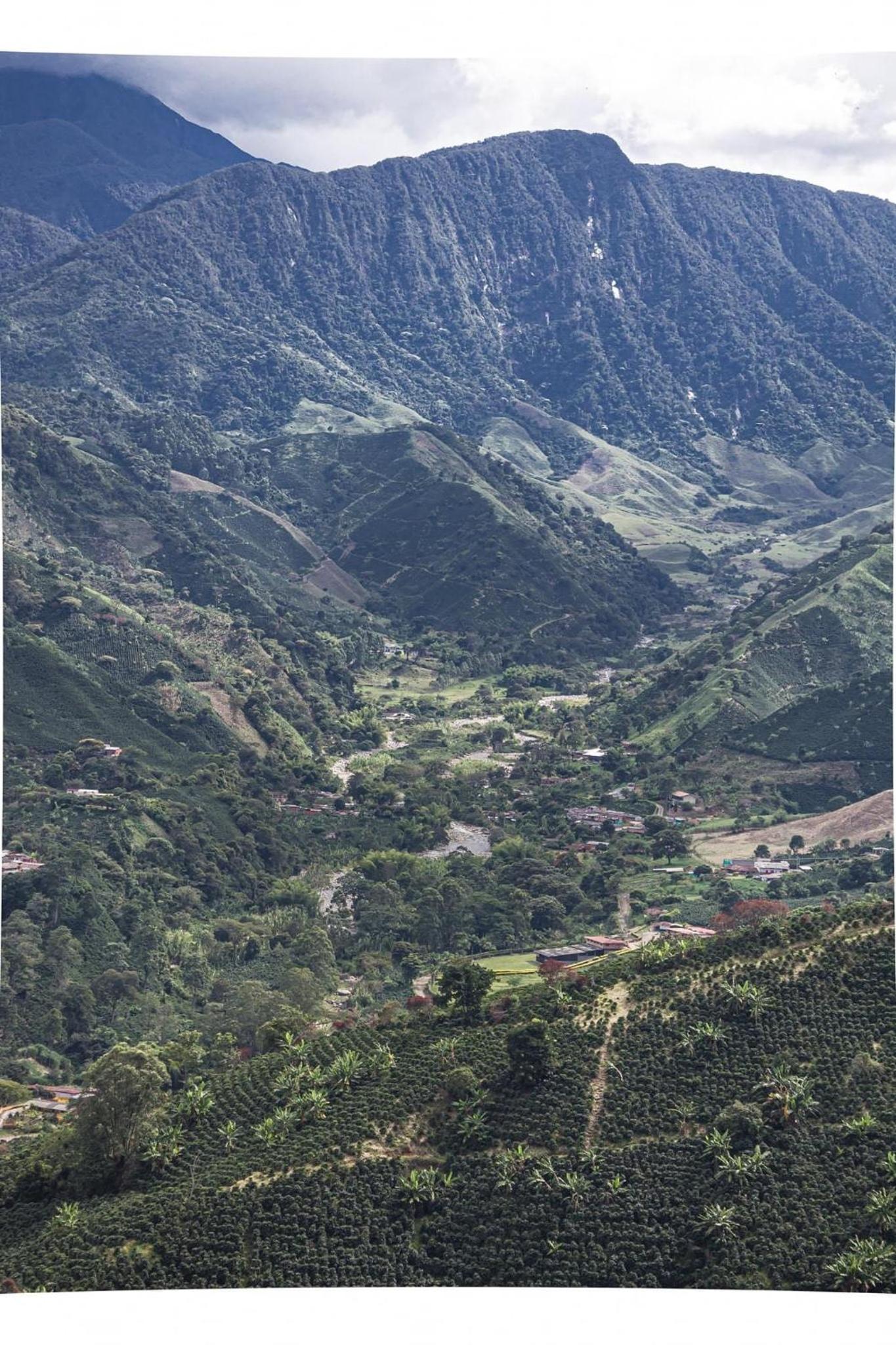 Finca el troya