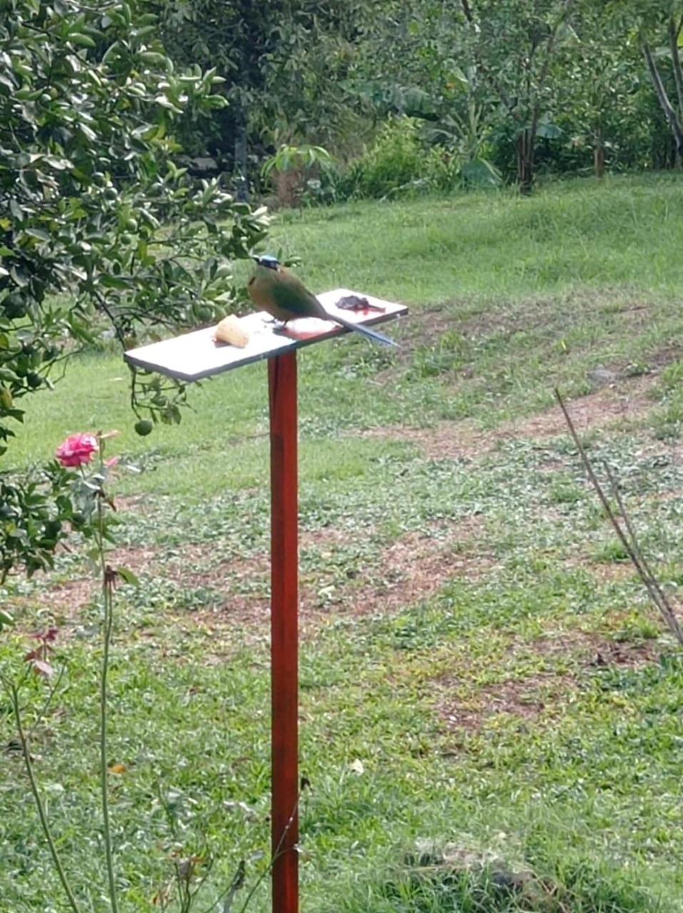 Finca el troya