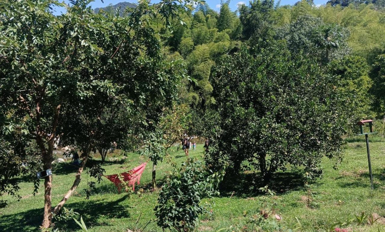 Finca el troya