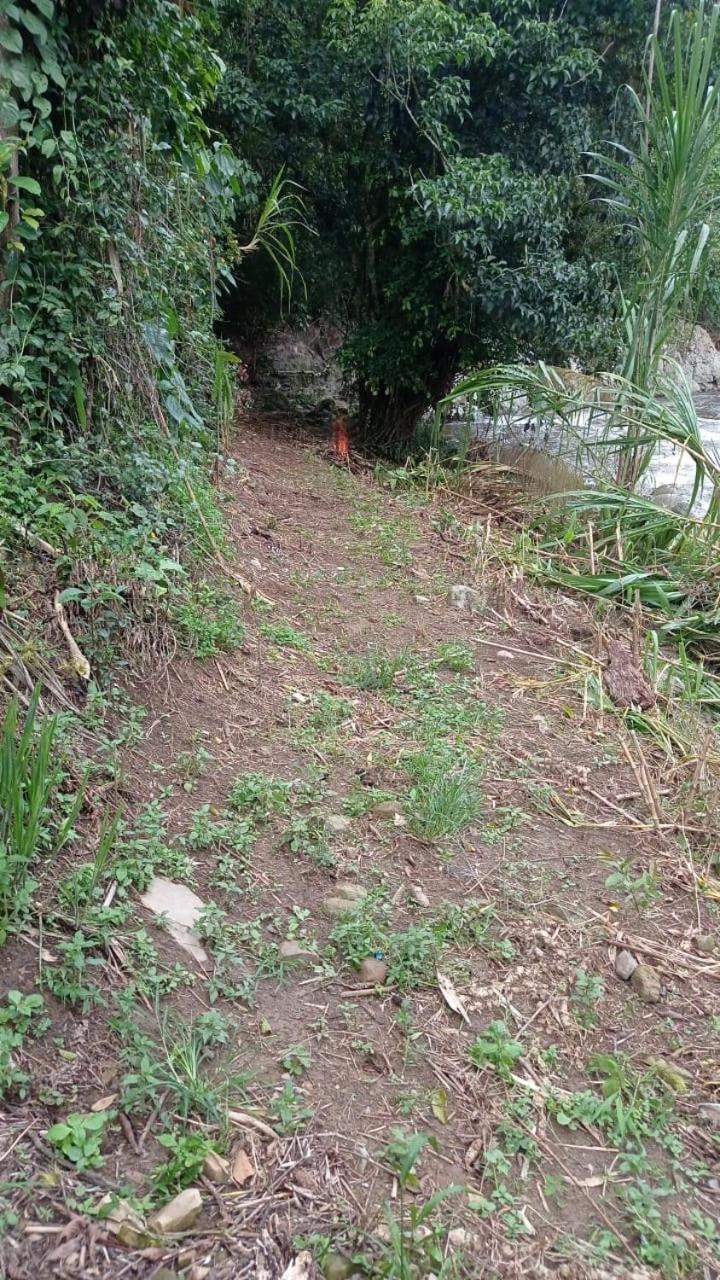 Finca el troya