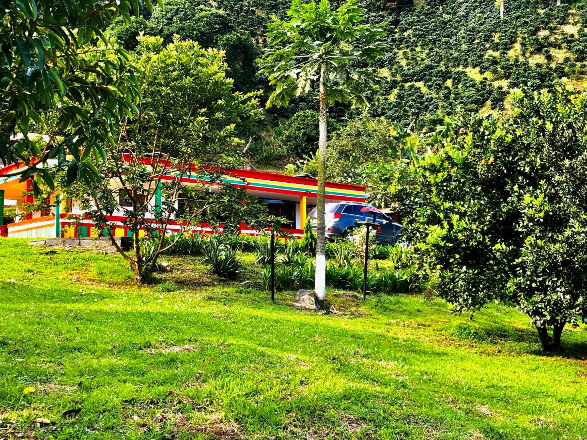 Finca el troya