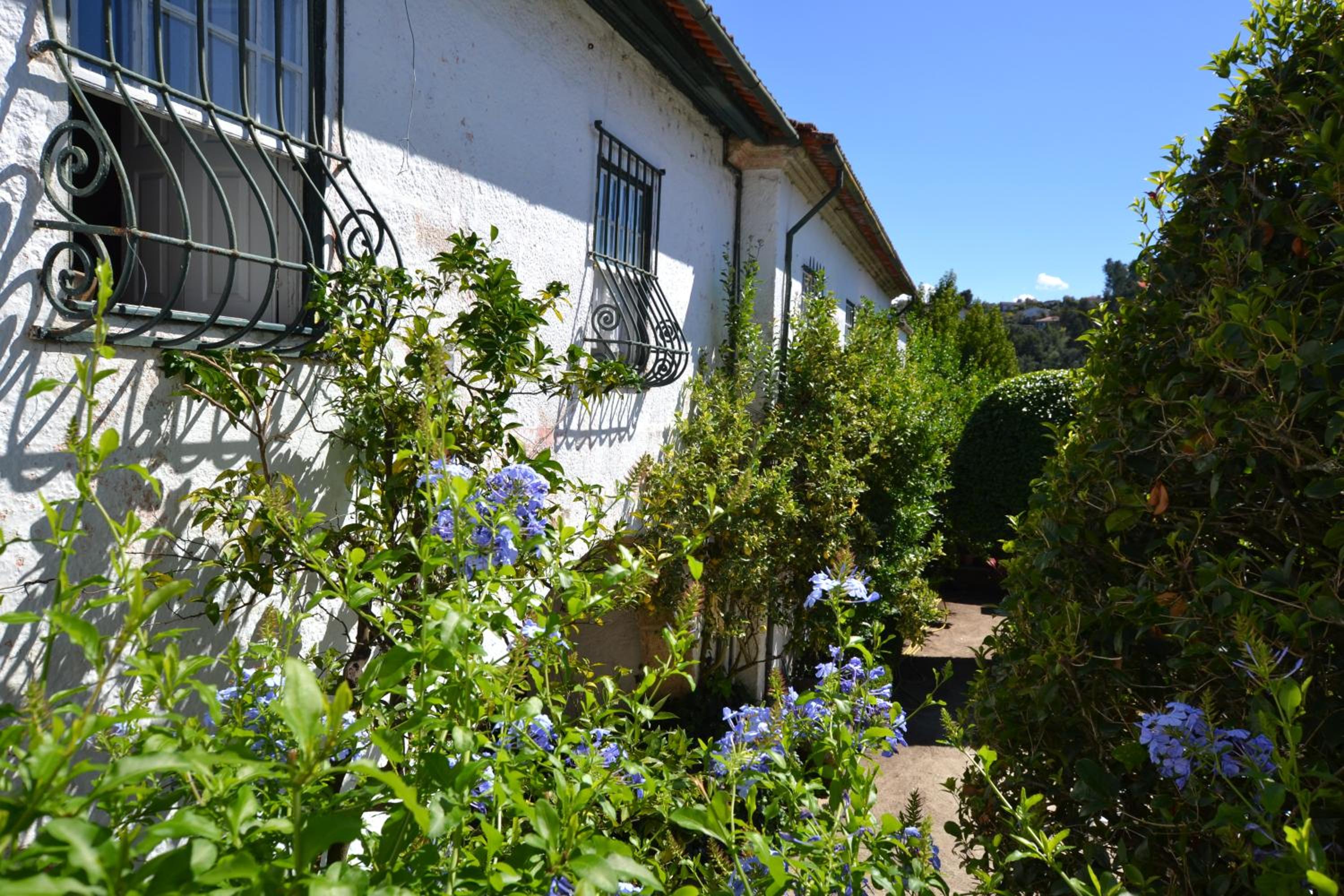 Photo 26
