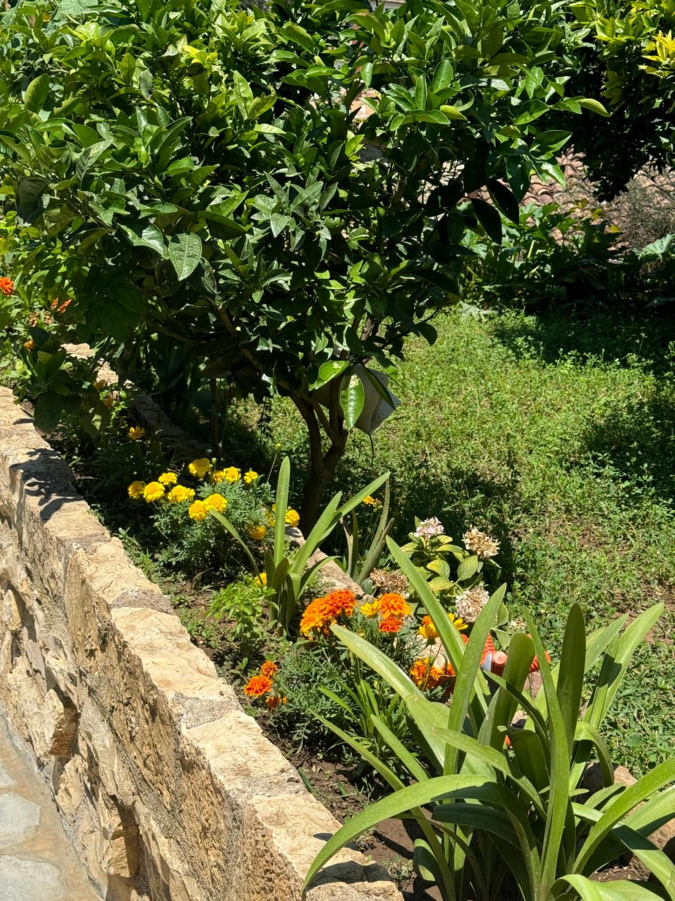 MEROLI Guesthouse - UNESCO quarter