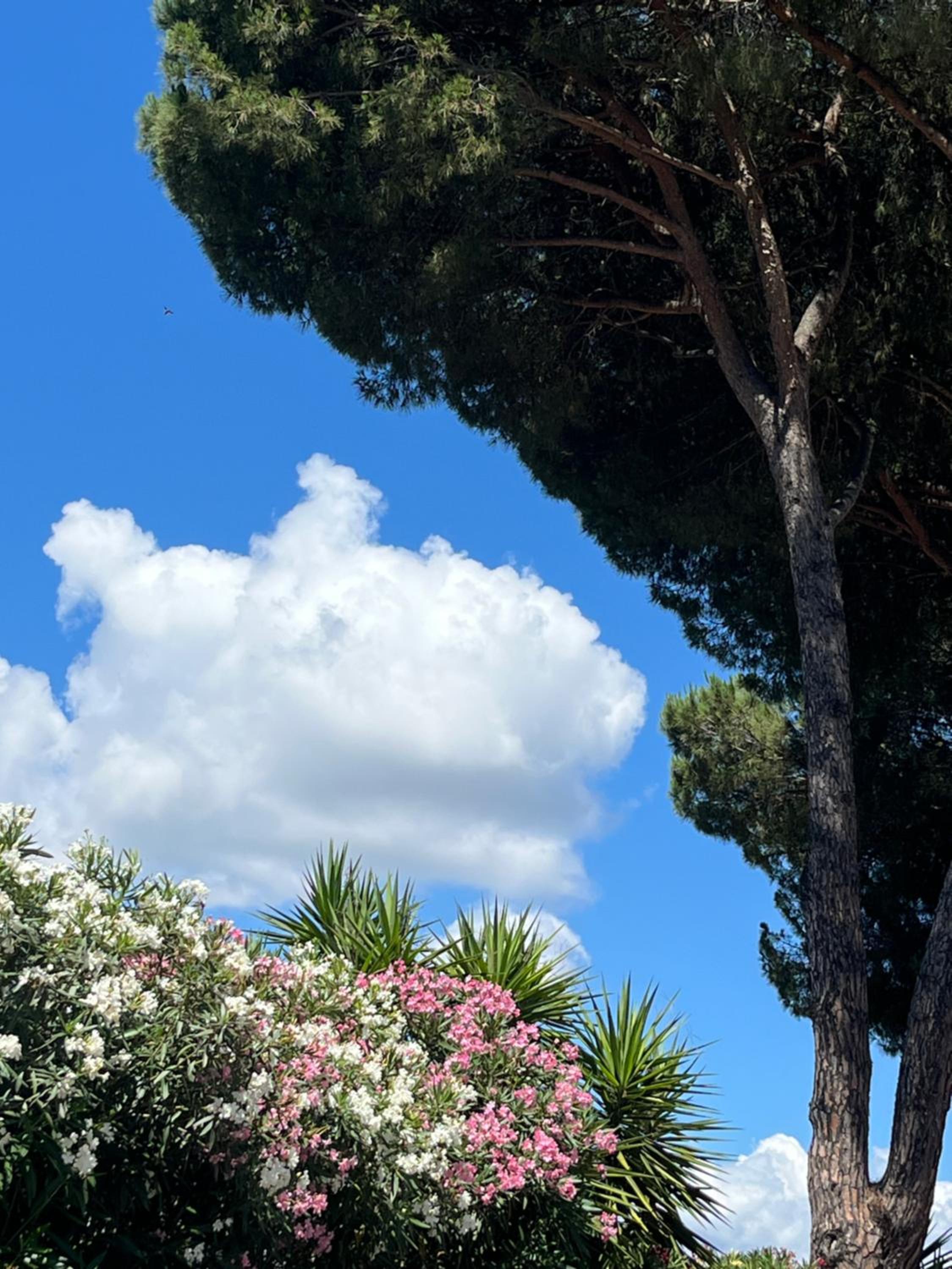Torre antica suite view 4
