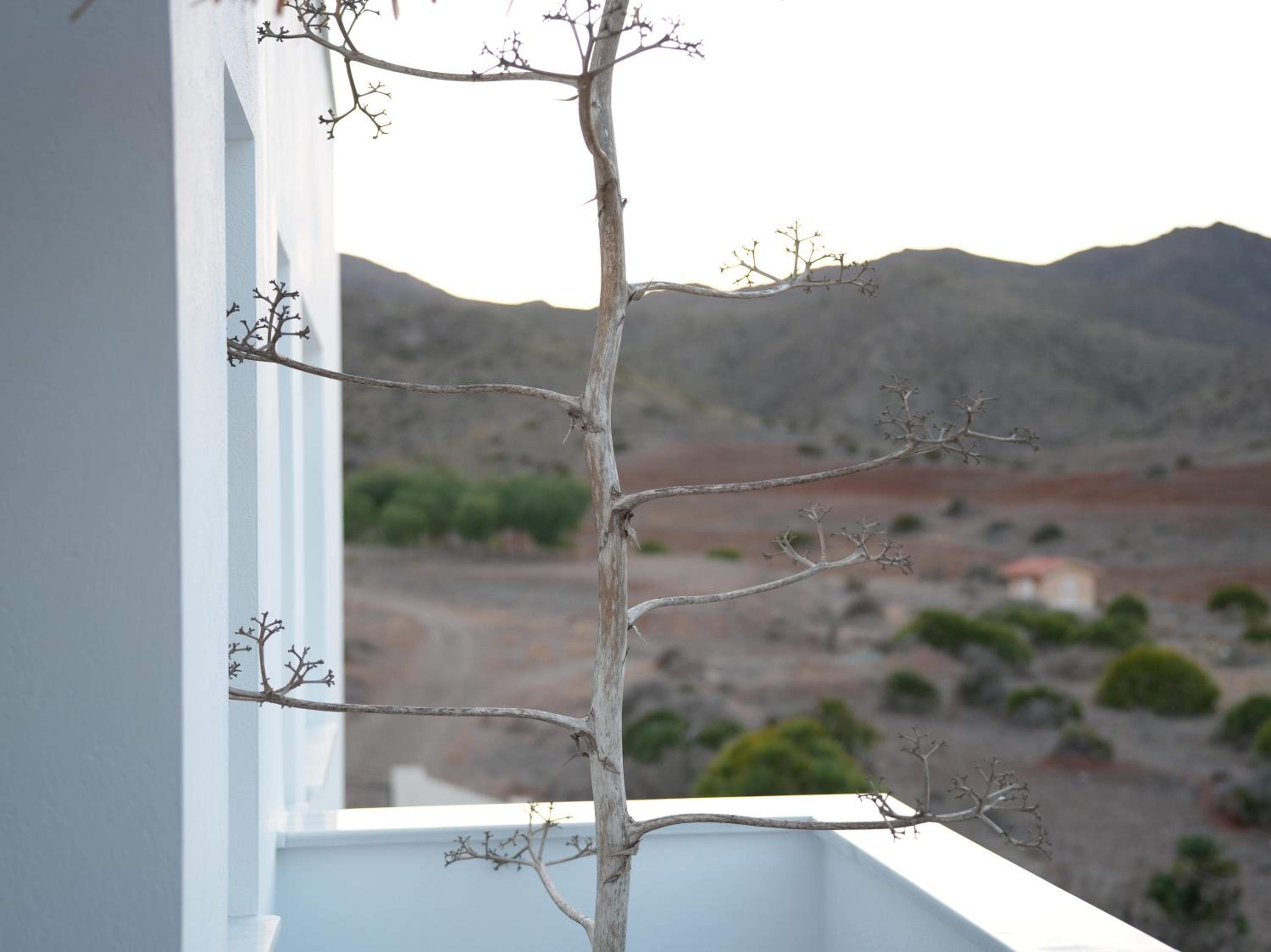 Senses Villa