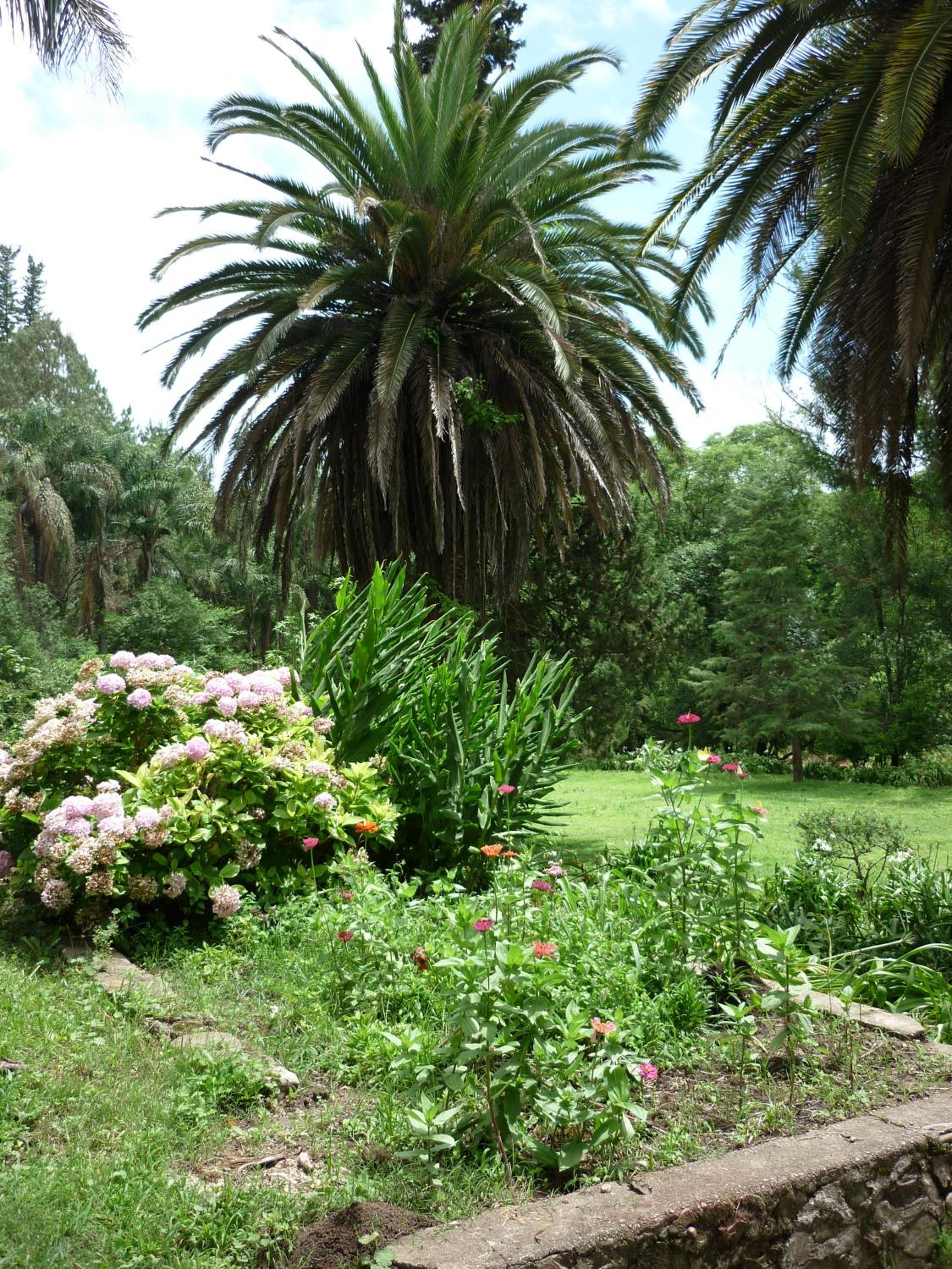 Finca La Colorada