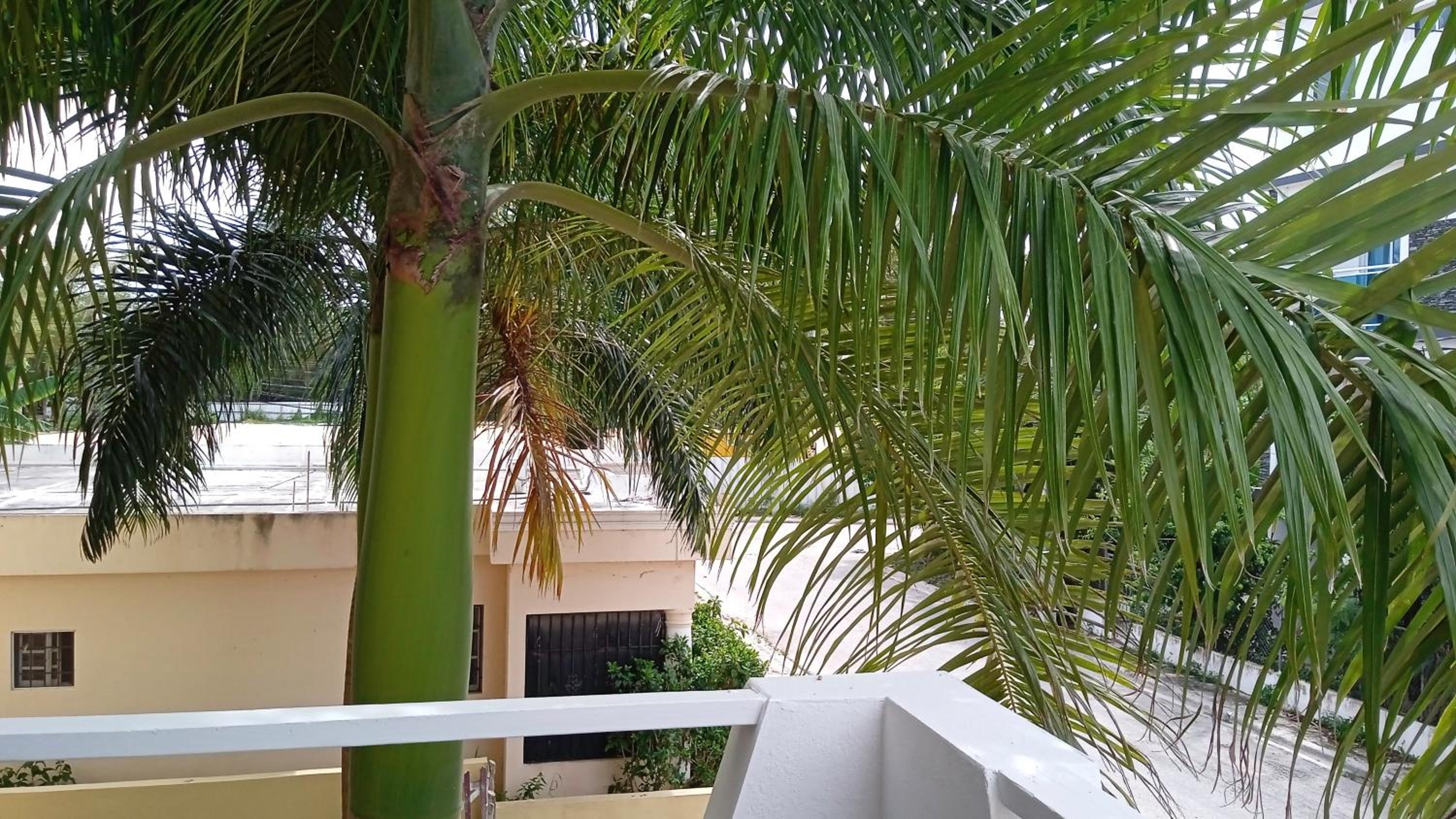 apart Jacaranda Bayahibe