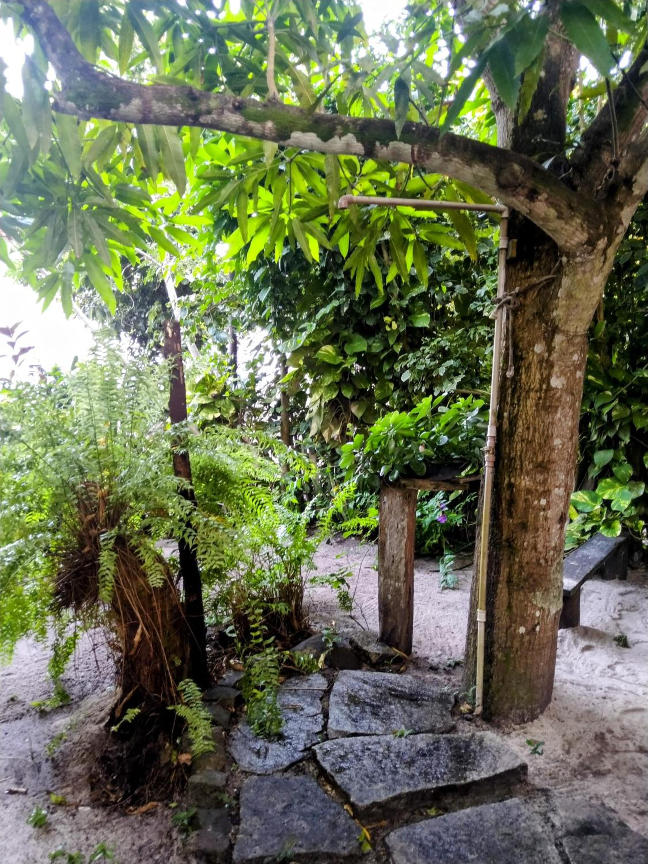 Casa cogumelo