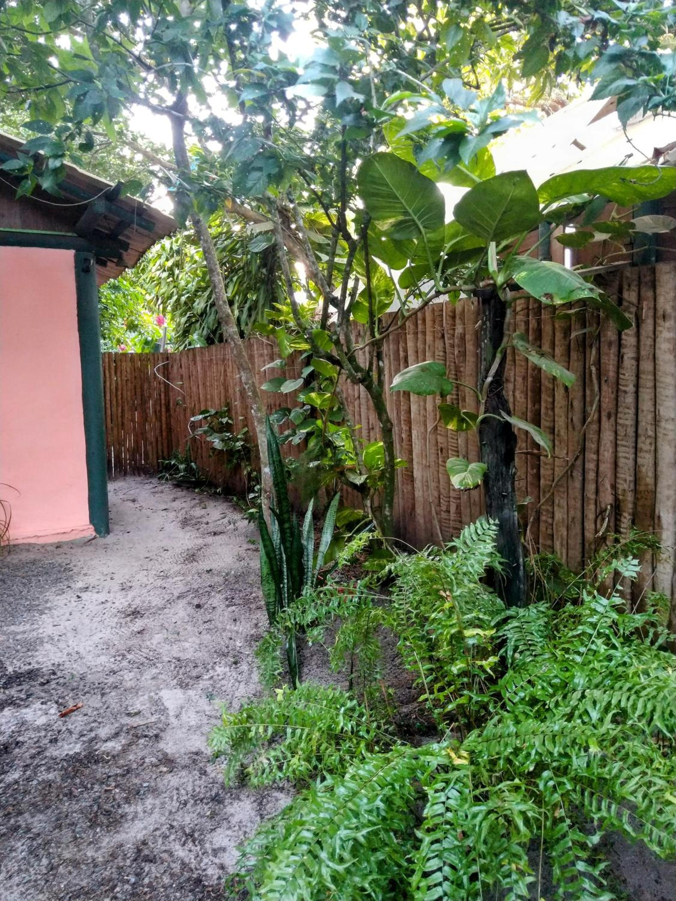Casa cogumelo