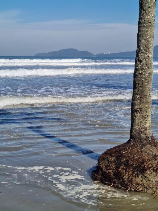 Santos, refúgio urbano em frente ao mar