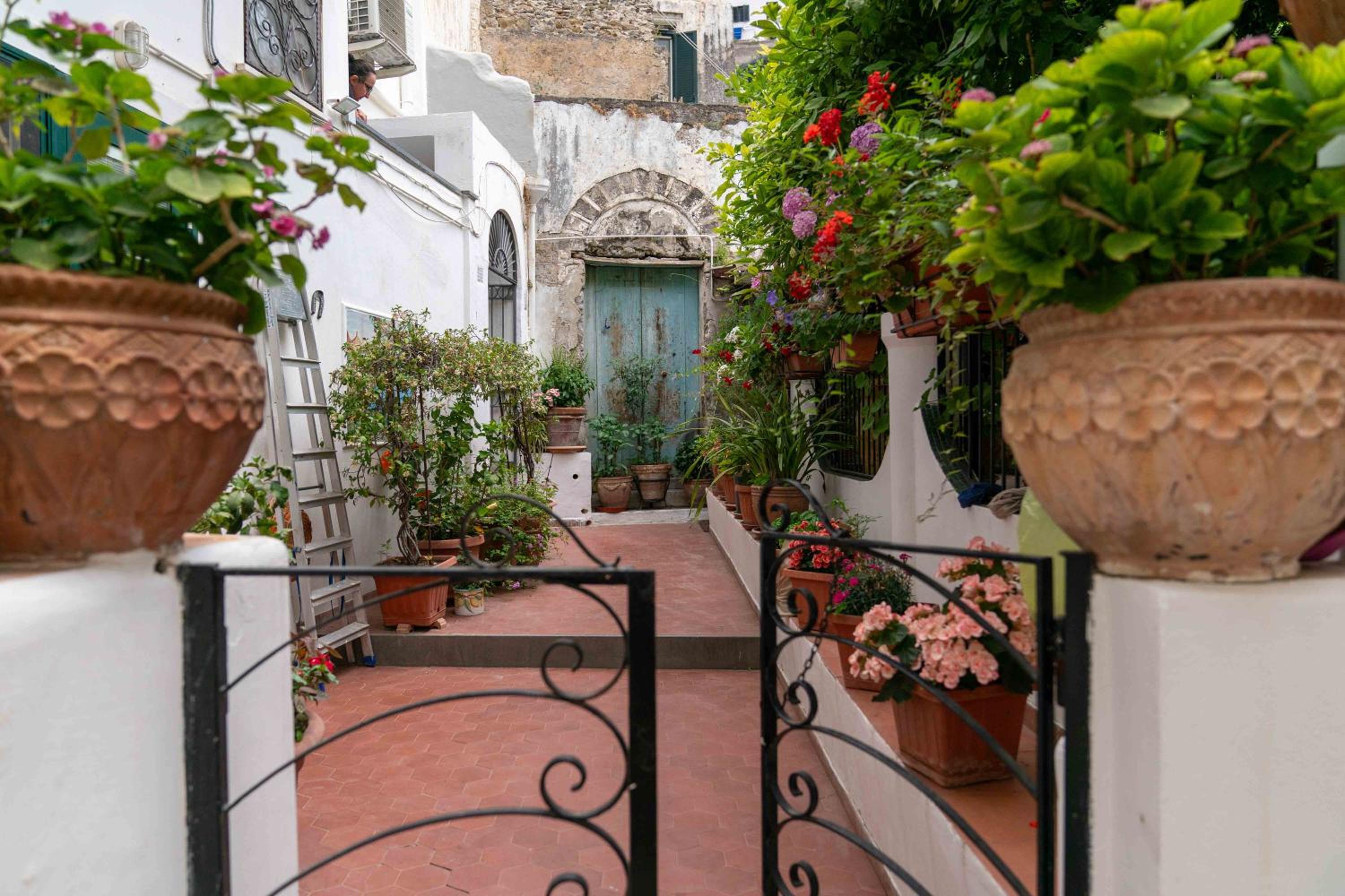 Il gatto Franco photo 4