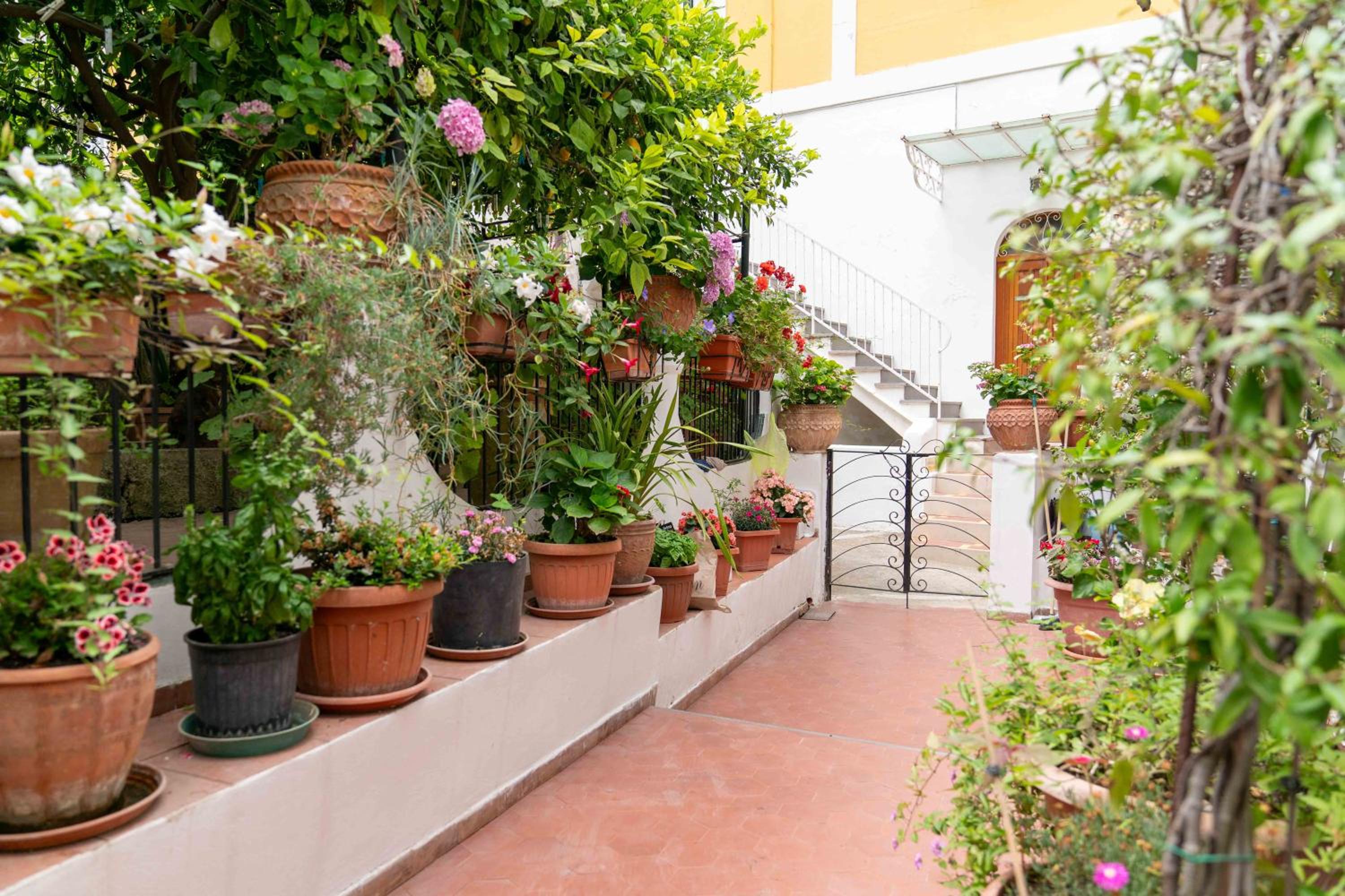 Il gatto Franco photo 3