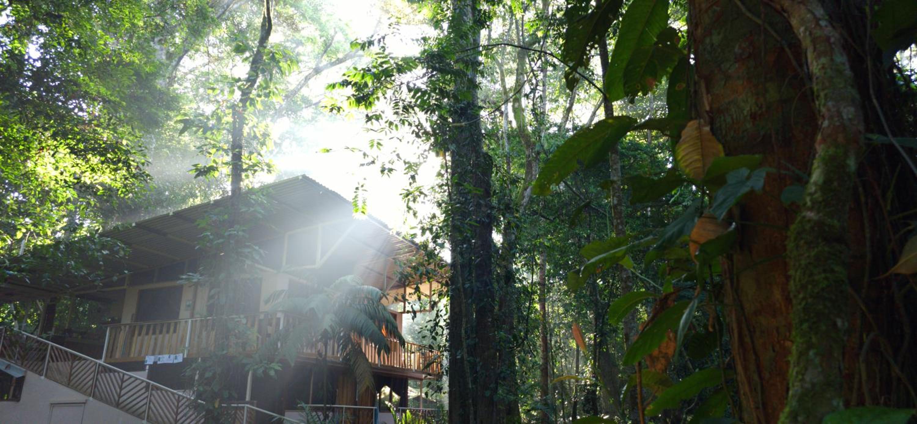 Cool Waters Jungle Hostel