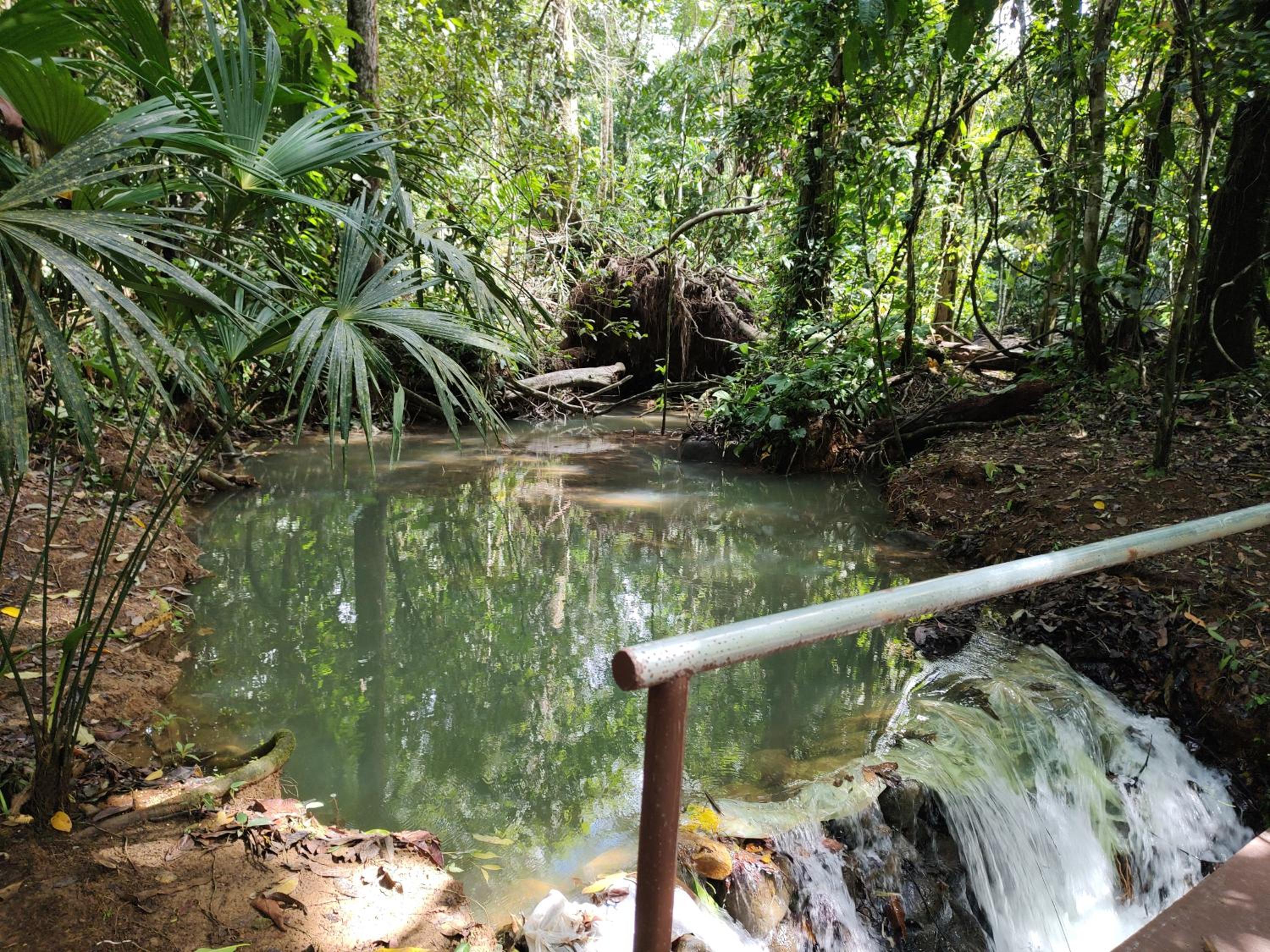 Cool Waters Jungle Hostel