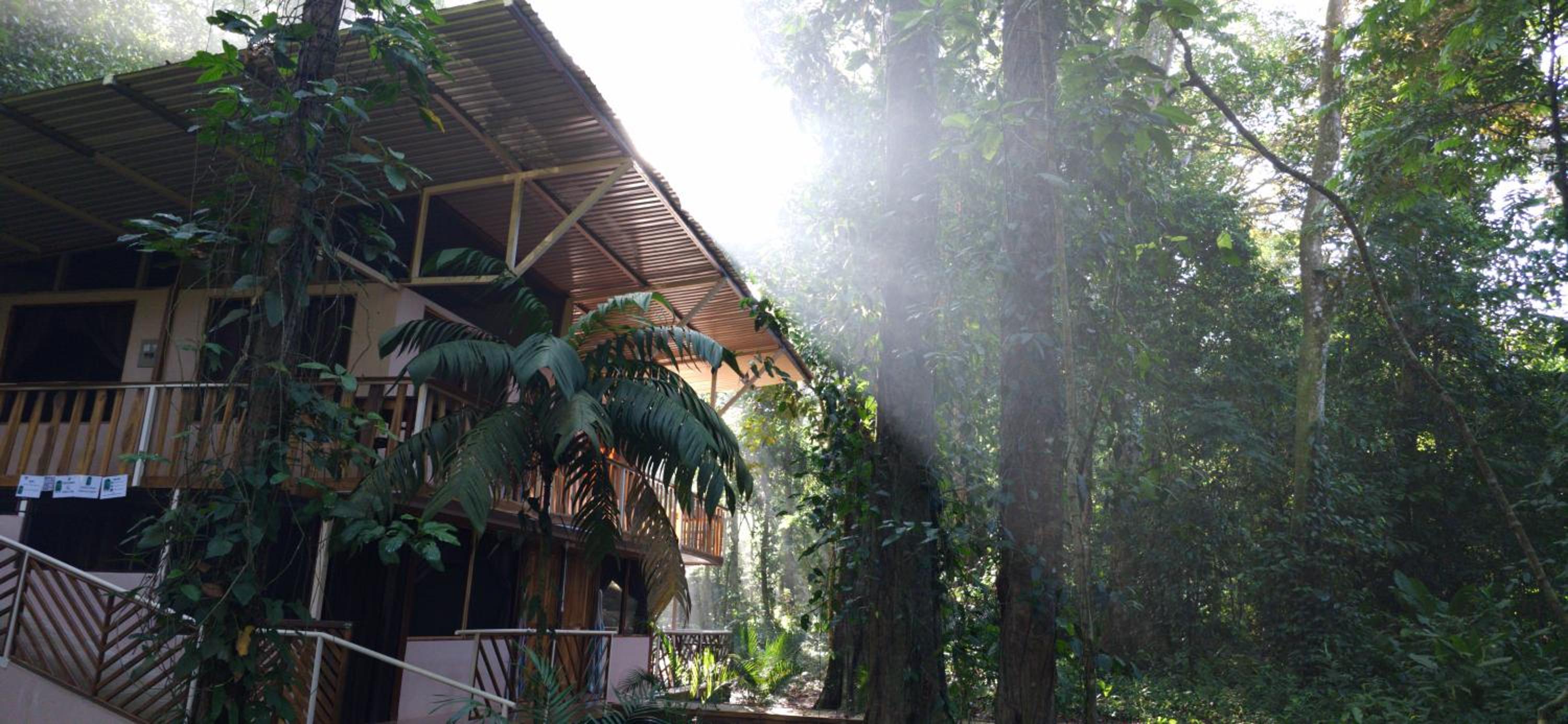 Cool Waters Jungle Hostel