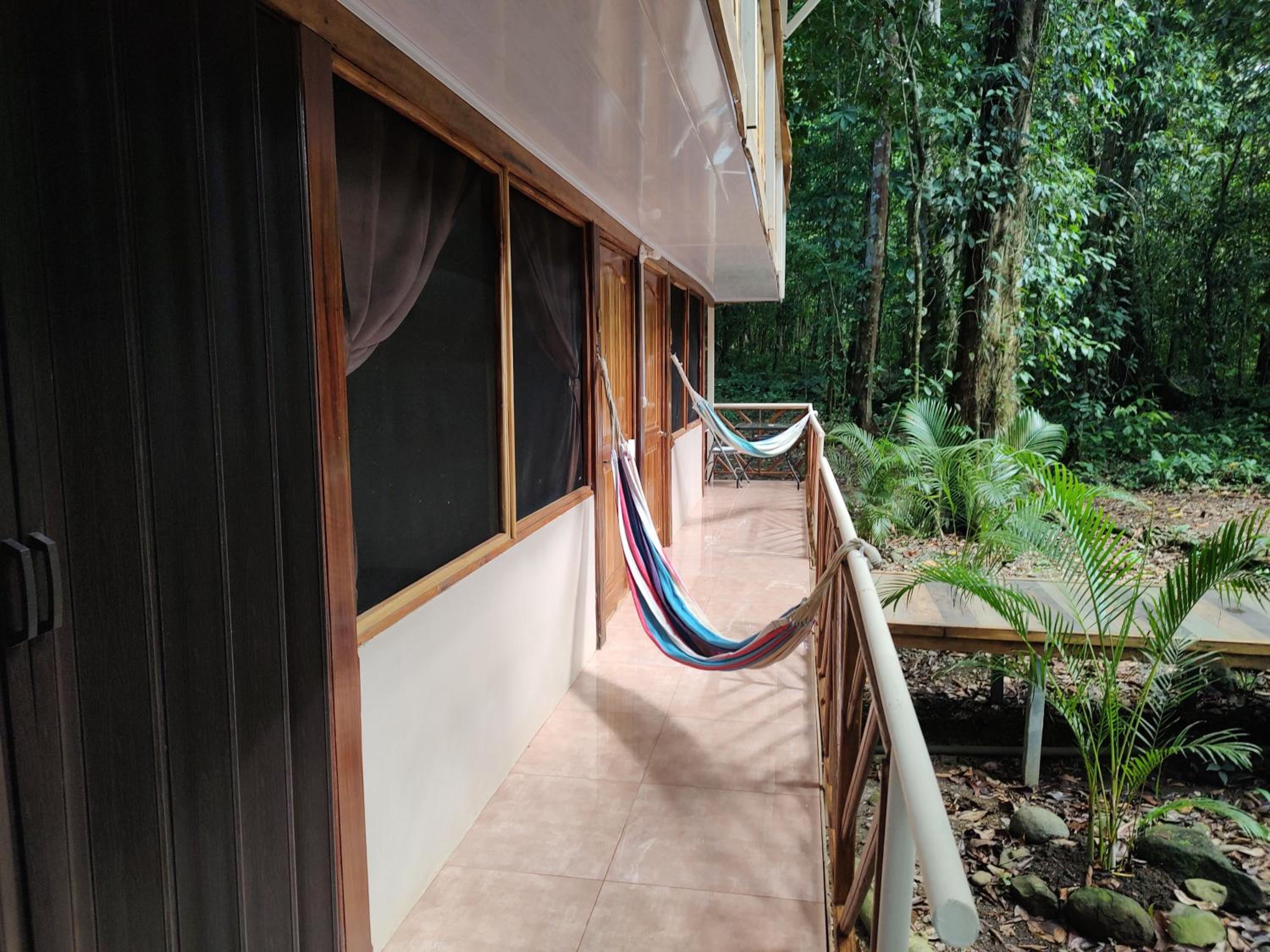 Cool Waters Jungle Hostel