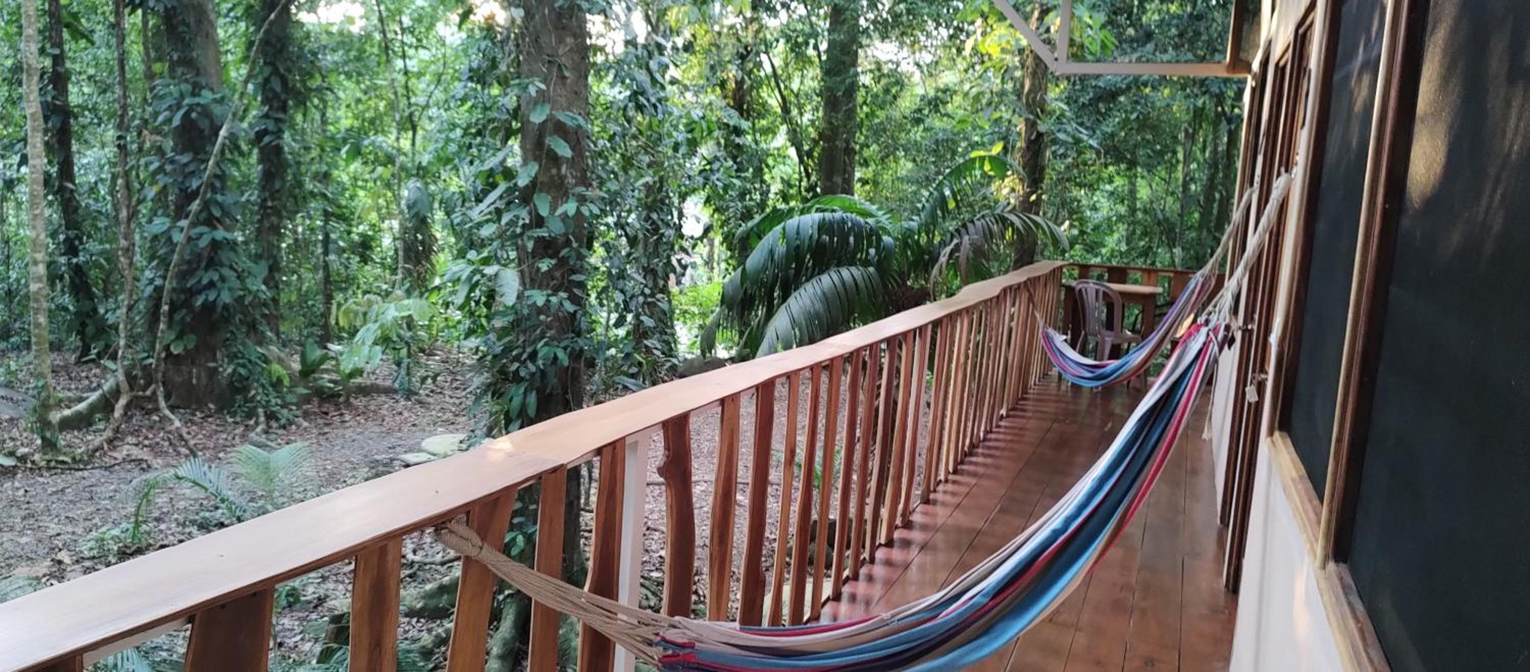 Cool Waters Jungle Hostel