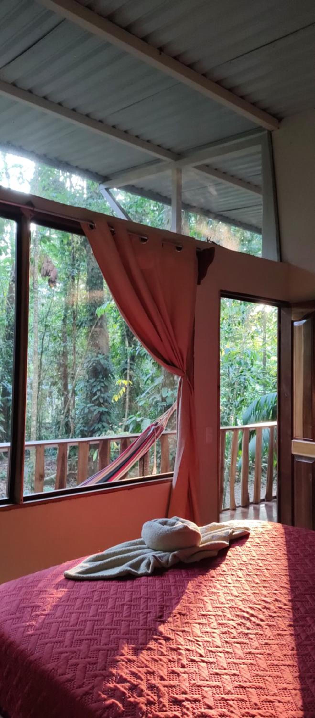 Cool Waters Jungle Hostel