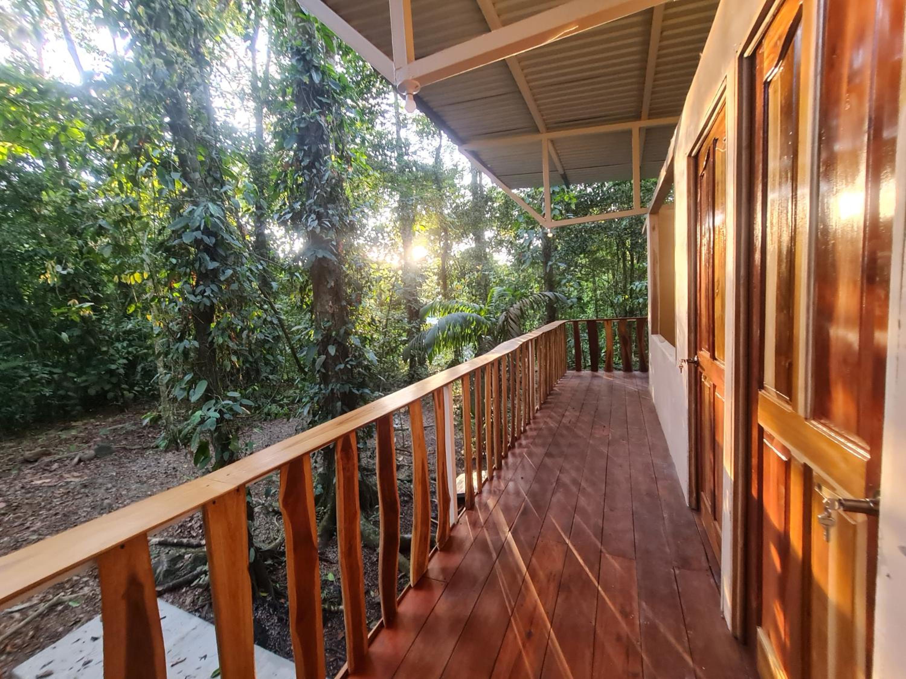 Cool Waters Jungle Hostel