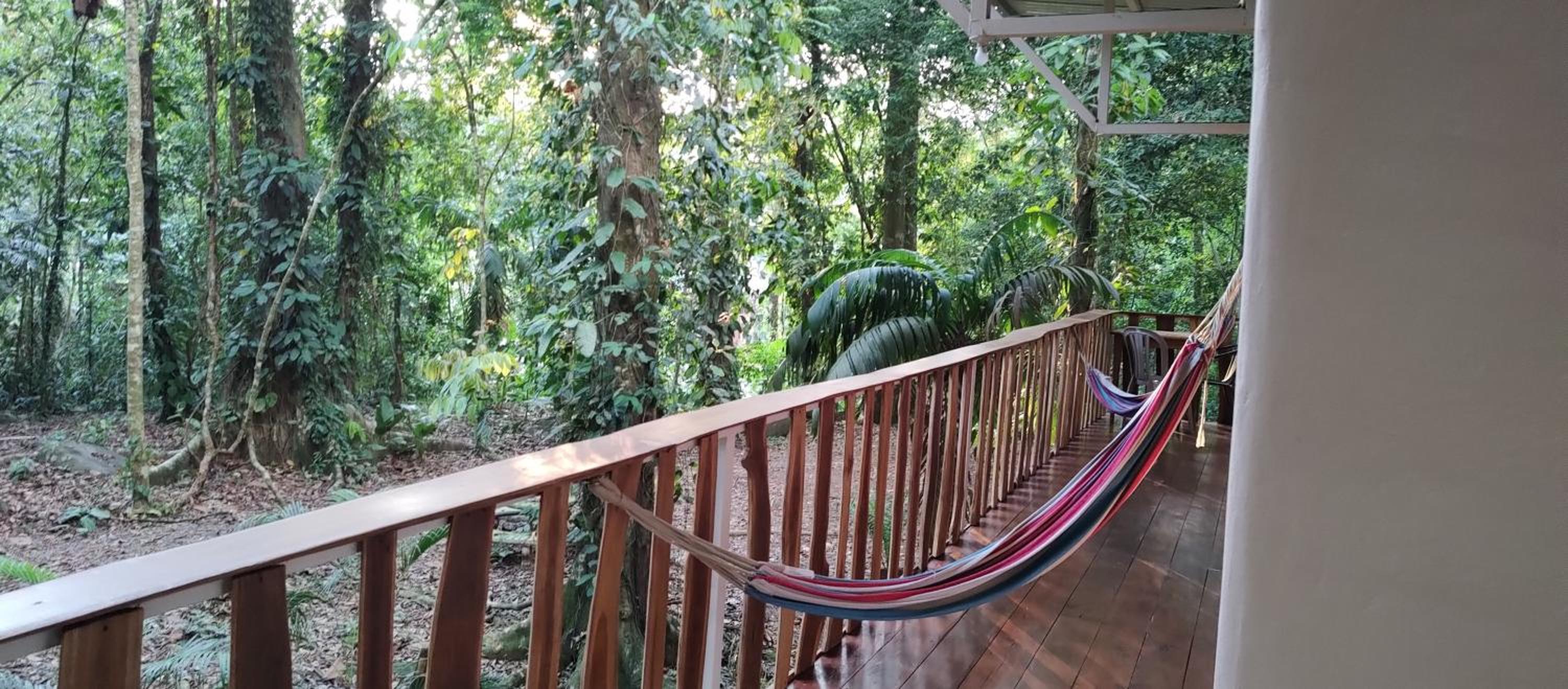 Cool Waters Jungle Hostel