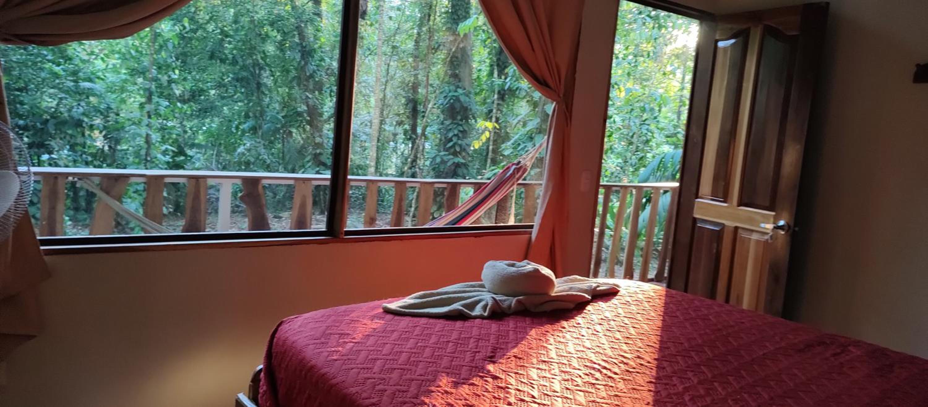Cool Waters Jungle Hostel
