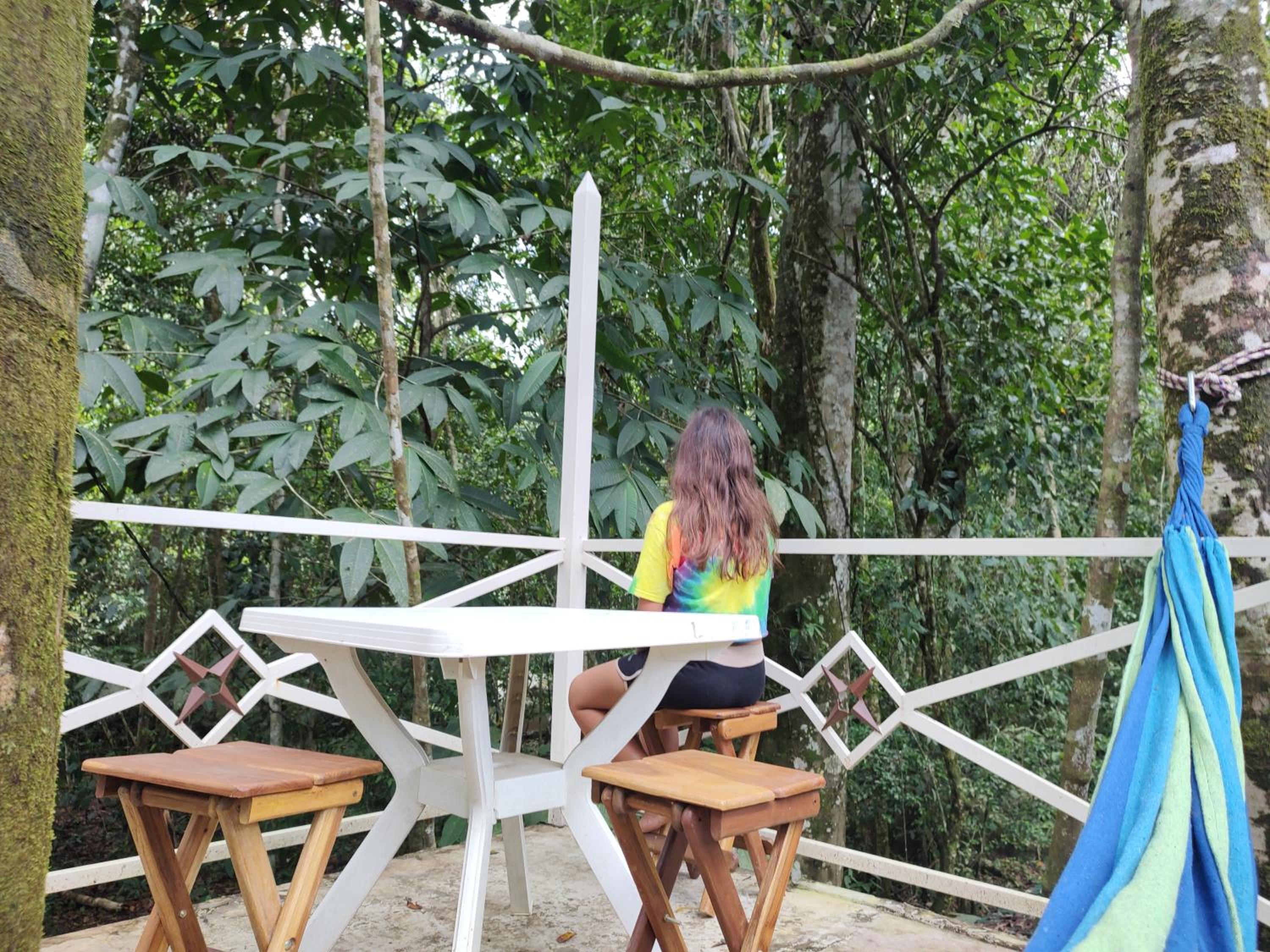 Cool Waters Jungle Hostel