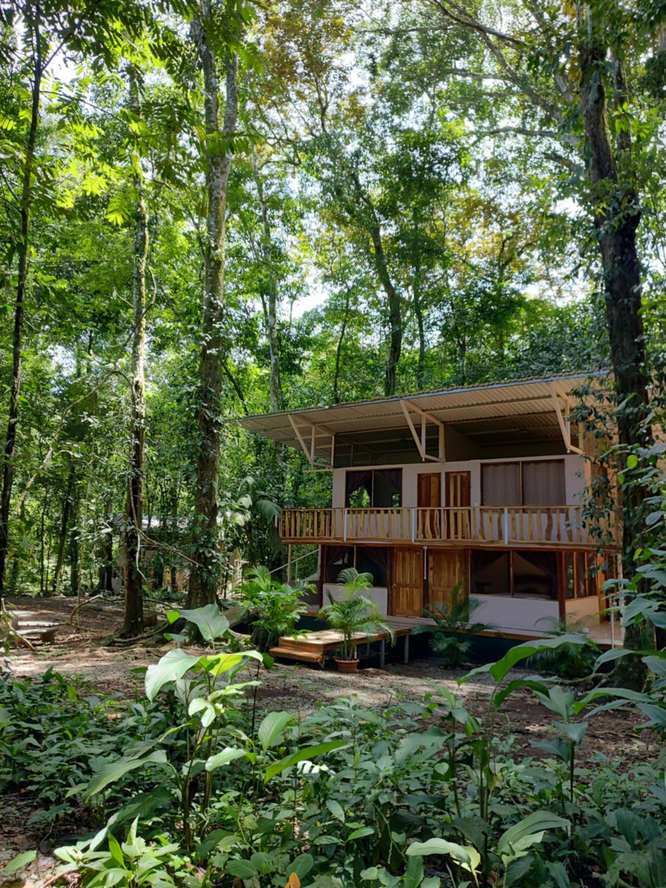 Cool Waters Jungle Hostel