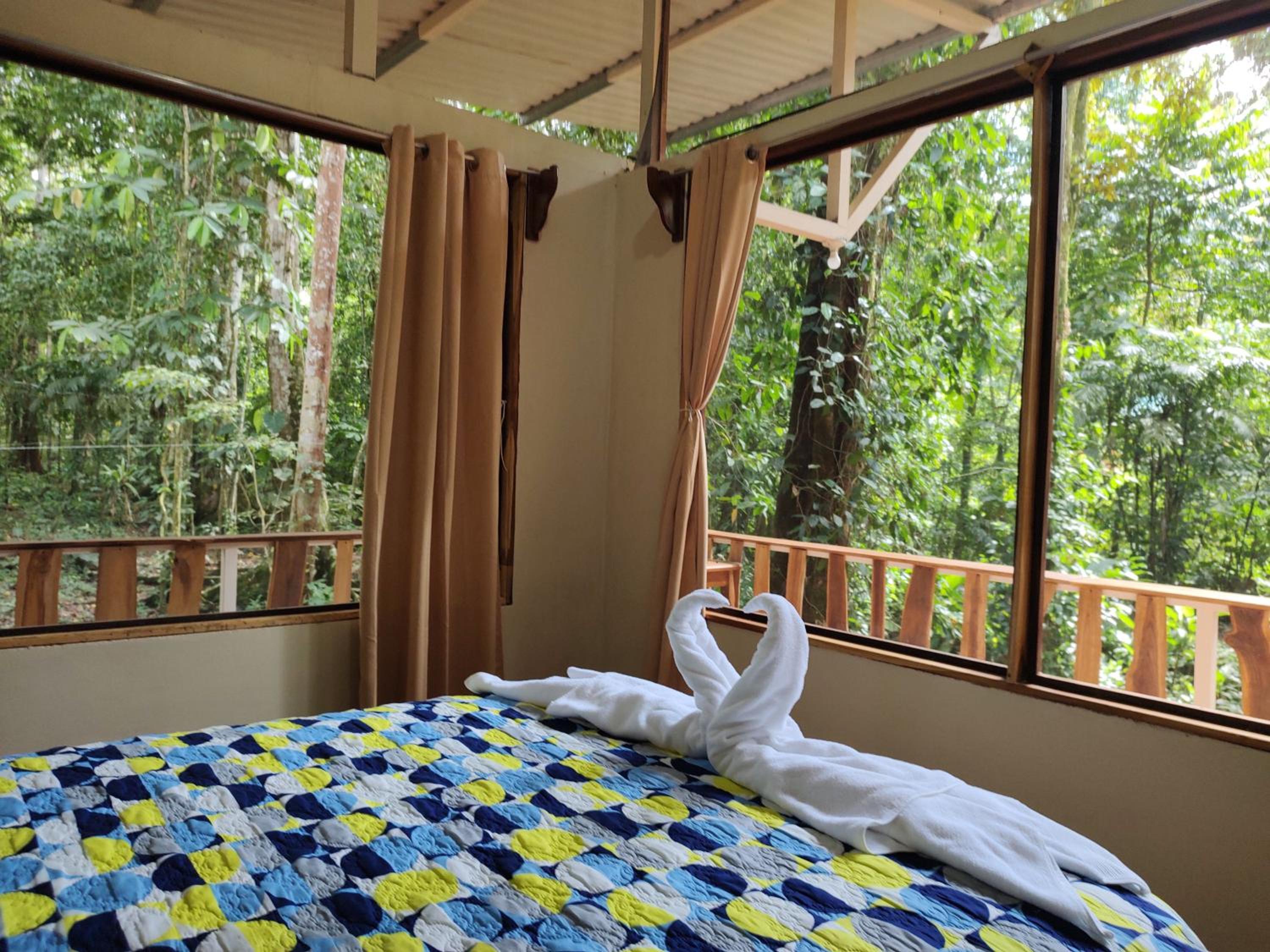 Cool Waters Jungle Hostel