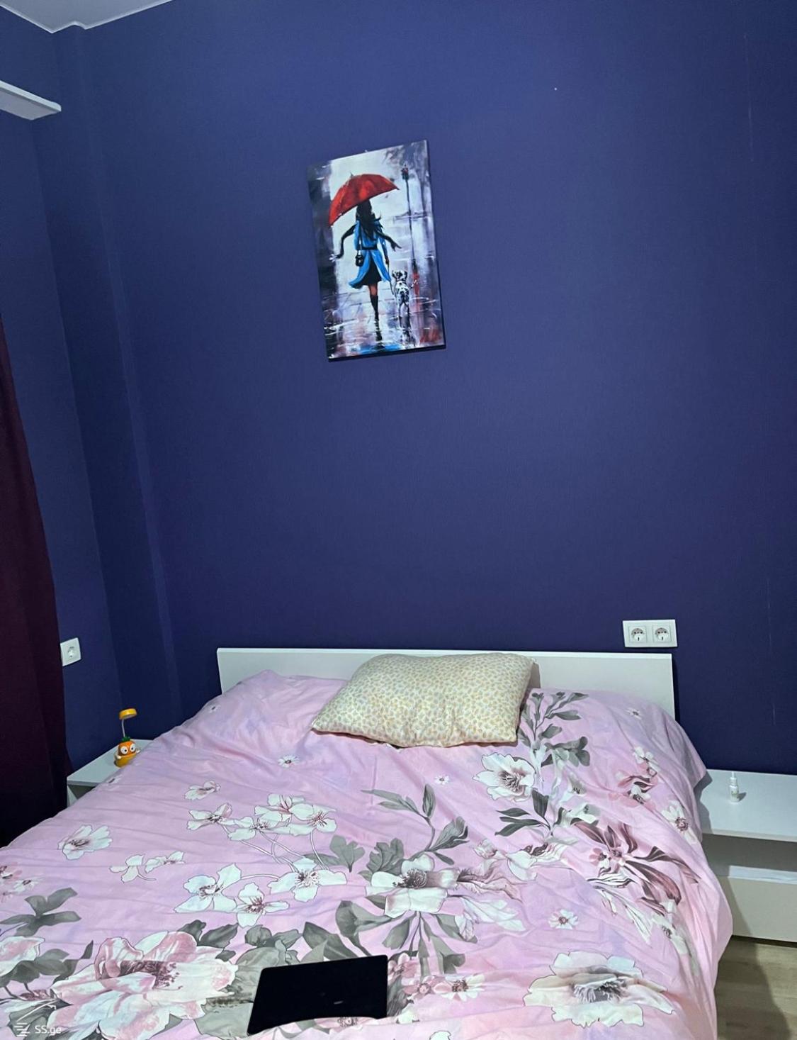 Zu Hause in Tiflis view 5