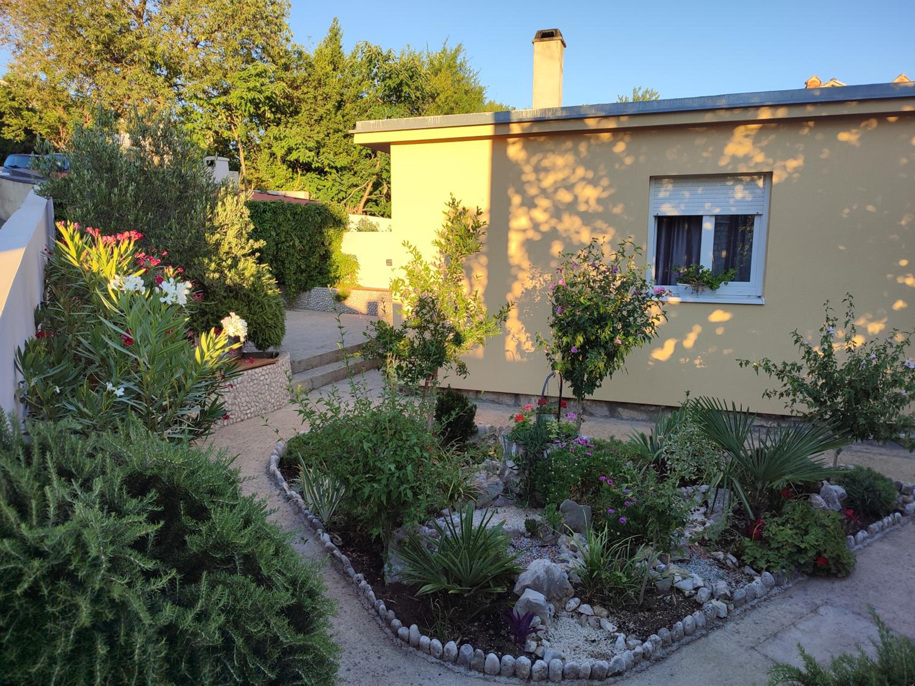 Apartman Noemi