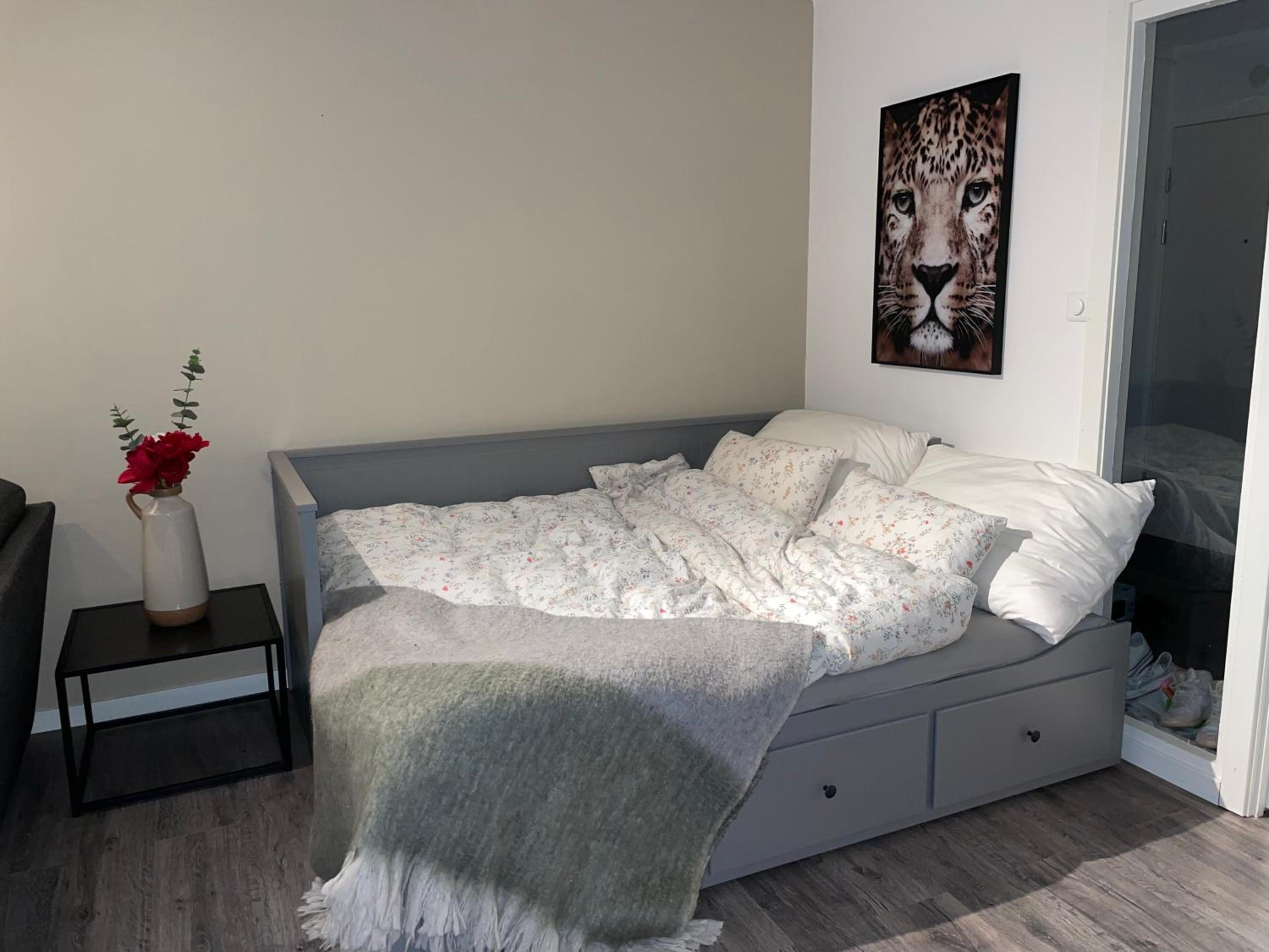Big apartment in quiet area close to city centre and VM 2025! view 3