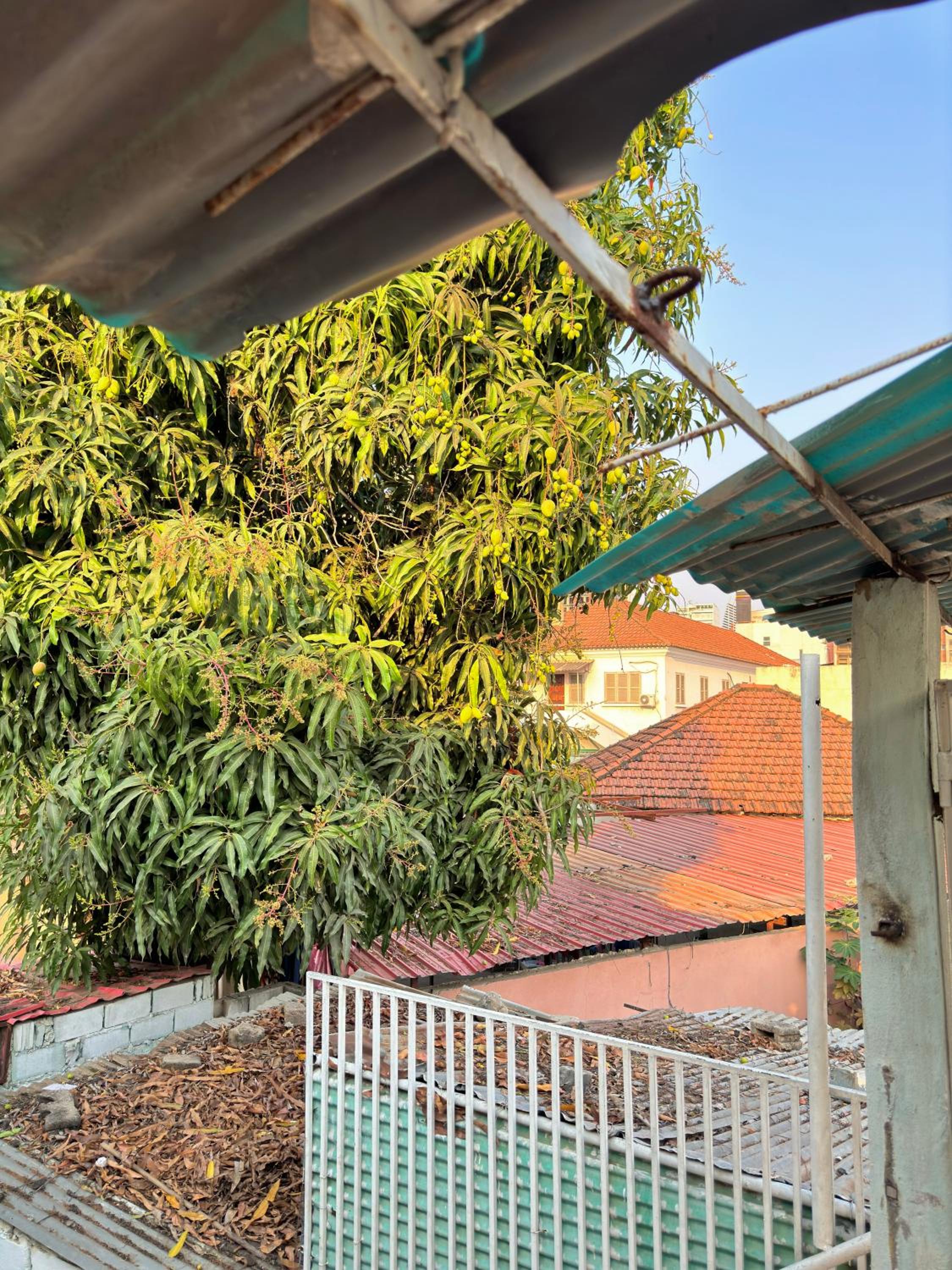 Maculusso Hidden Gem Central & Comfortable Apartment