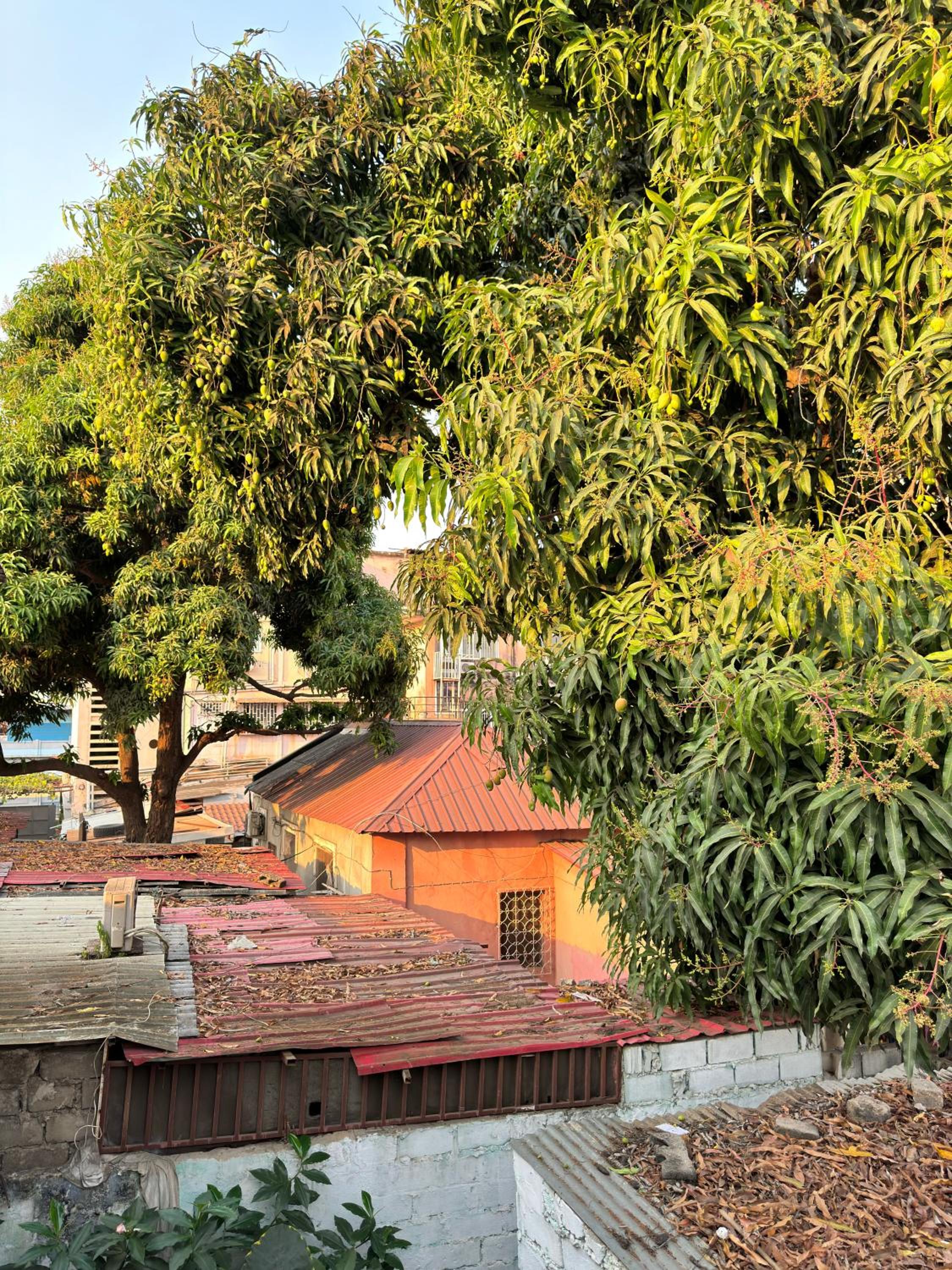 Maculusso Hidden Gem Central & Comfortable Apartment