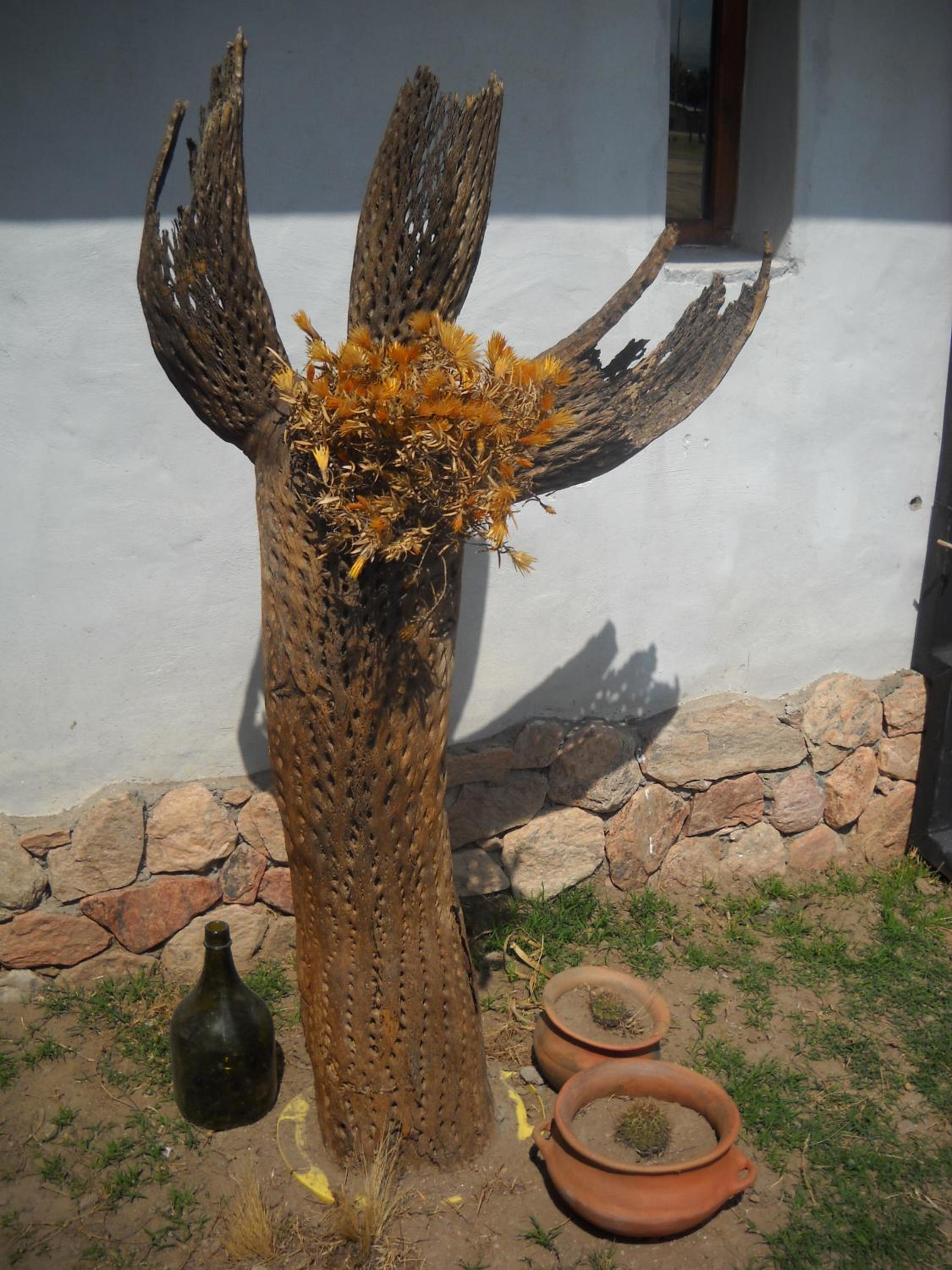 Cabañas Ernes Huasi