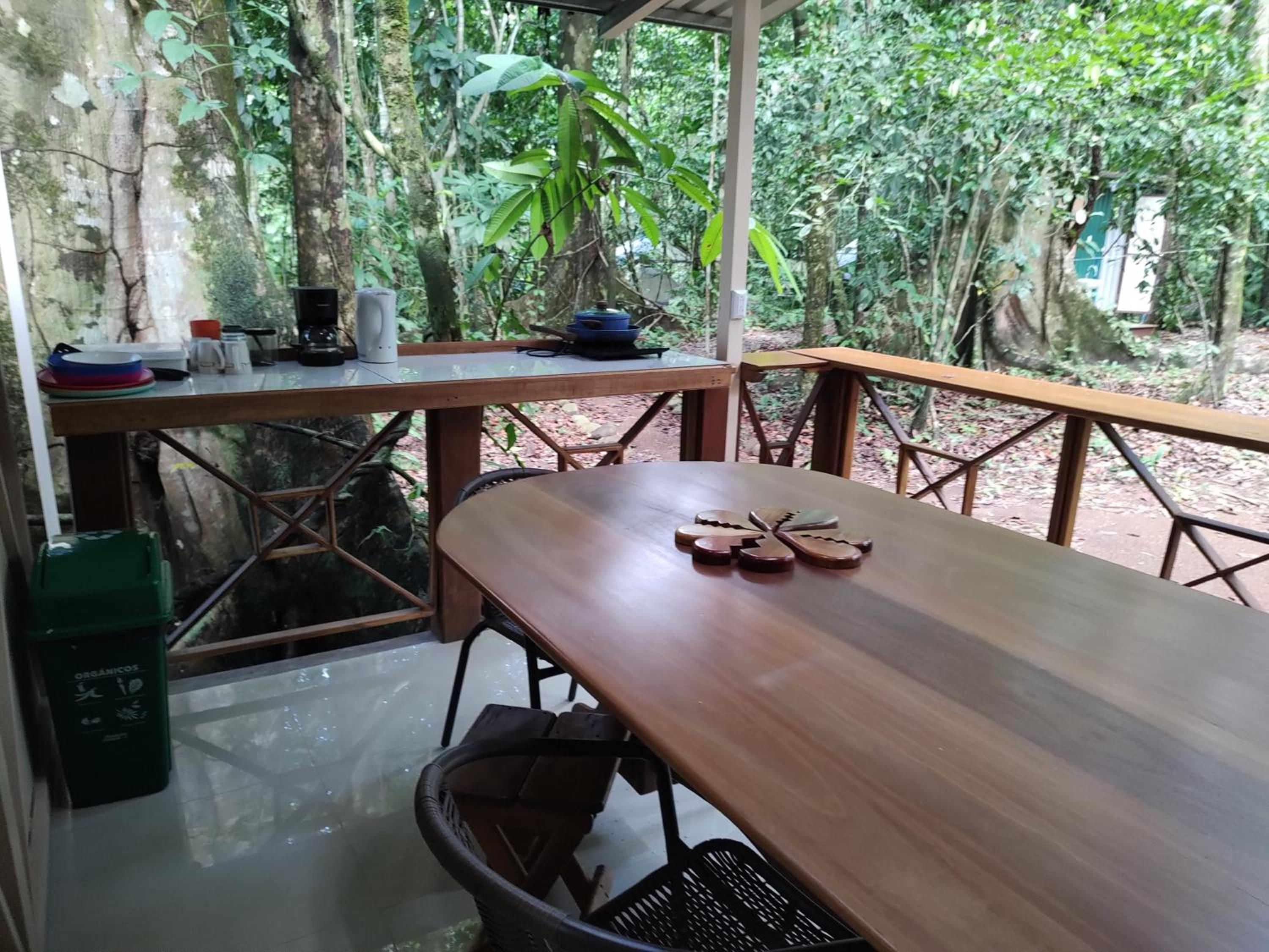 Cool Waters Jungle Hostel